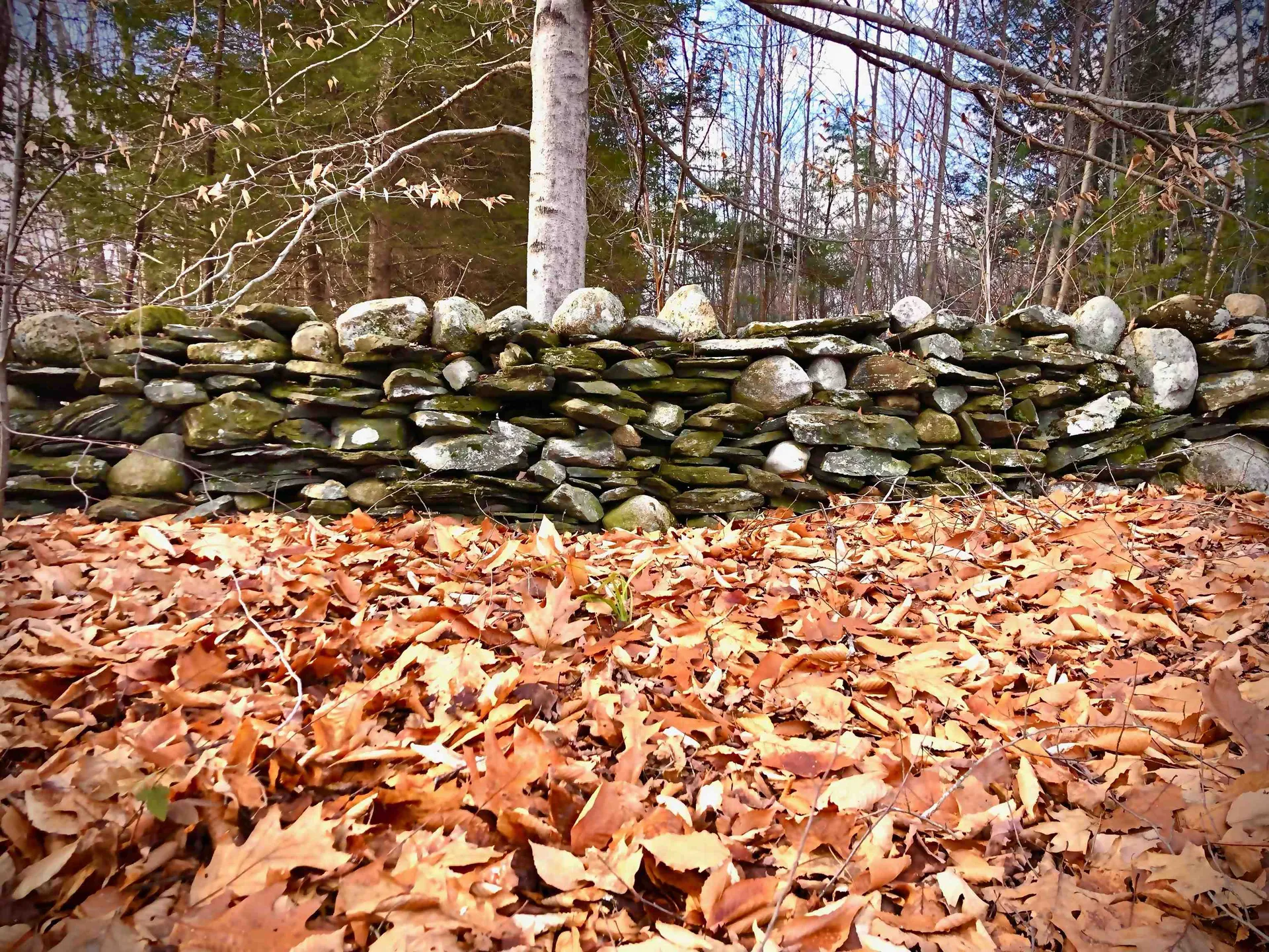 207 Ursa Ridge Brattleboro VT 05301