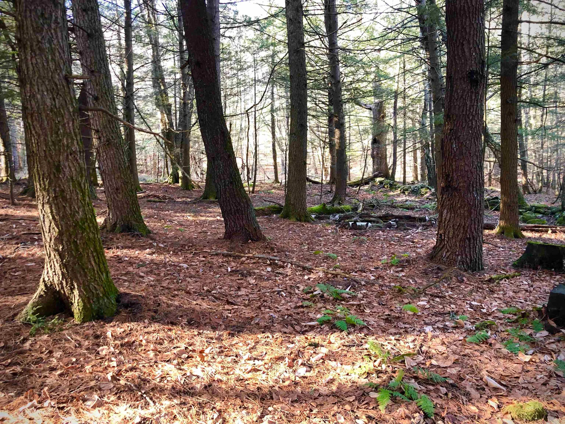 207 Ursa Ridge Brattleboro VT 05301