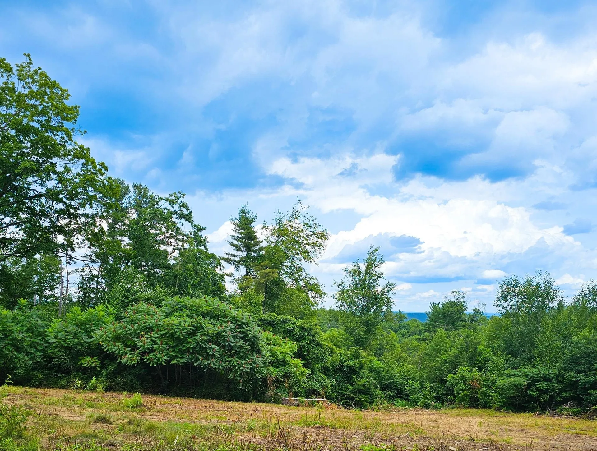 108 Hopkins Road Dummerston VT 05301