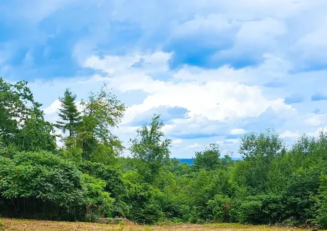 108 Hopkins Road Dummerston VT 05301