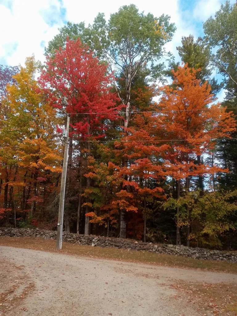 9 Wood Thrush Acres Road Whitefield NH 03598