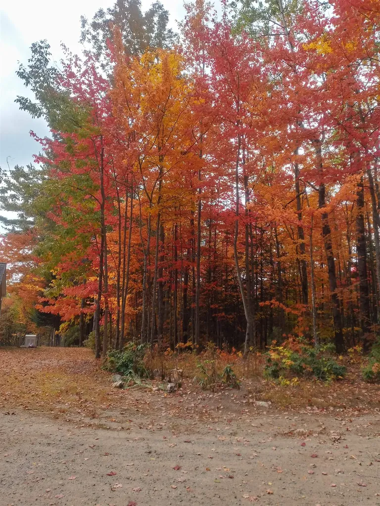 9 Wood Thrush Acres Road Whitefield NH 03598