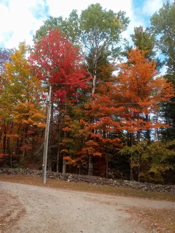 9 Wood Thrush Acres Road Whitefield NH 03598
