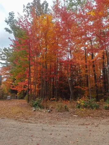9 Wood Thrush Acres Road Whitefield NH 03598