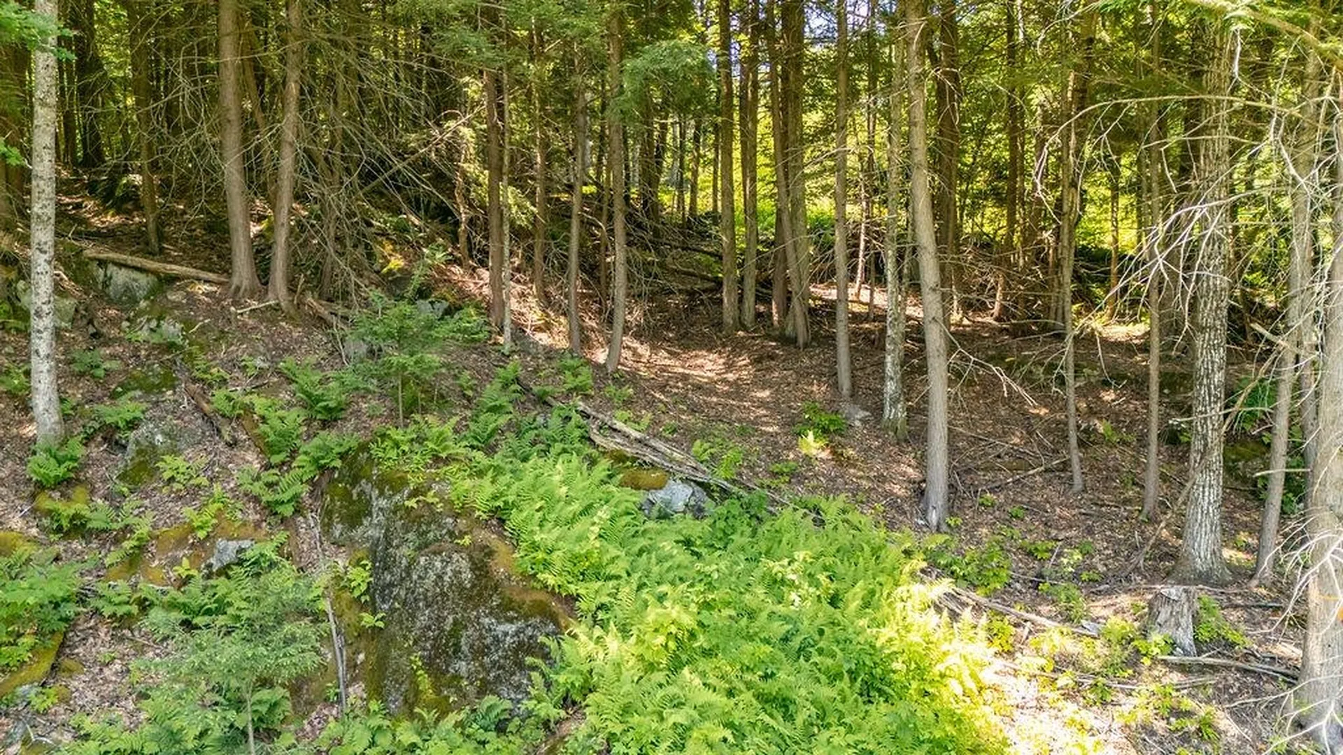 61 Brookside Road Newbury NH 03255