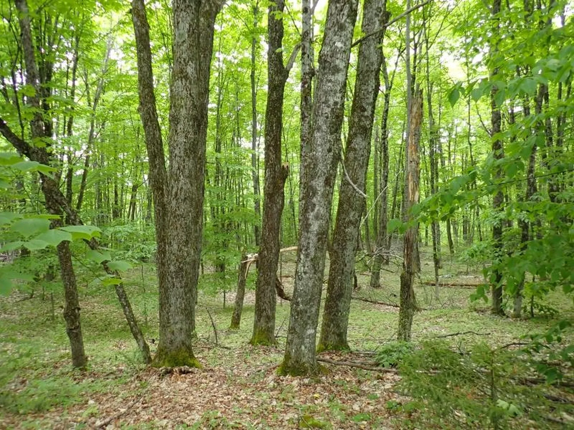 0 Powder Spring Road Topsham VT 05076