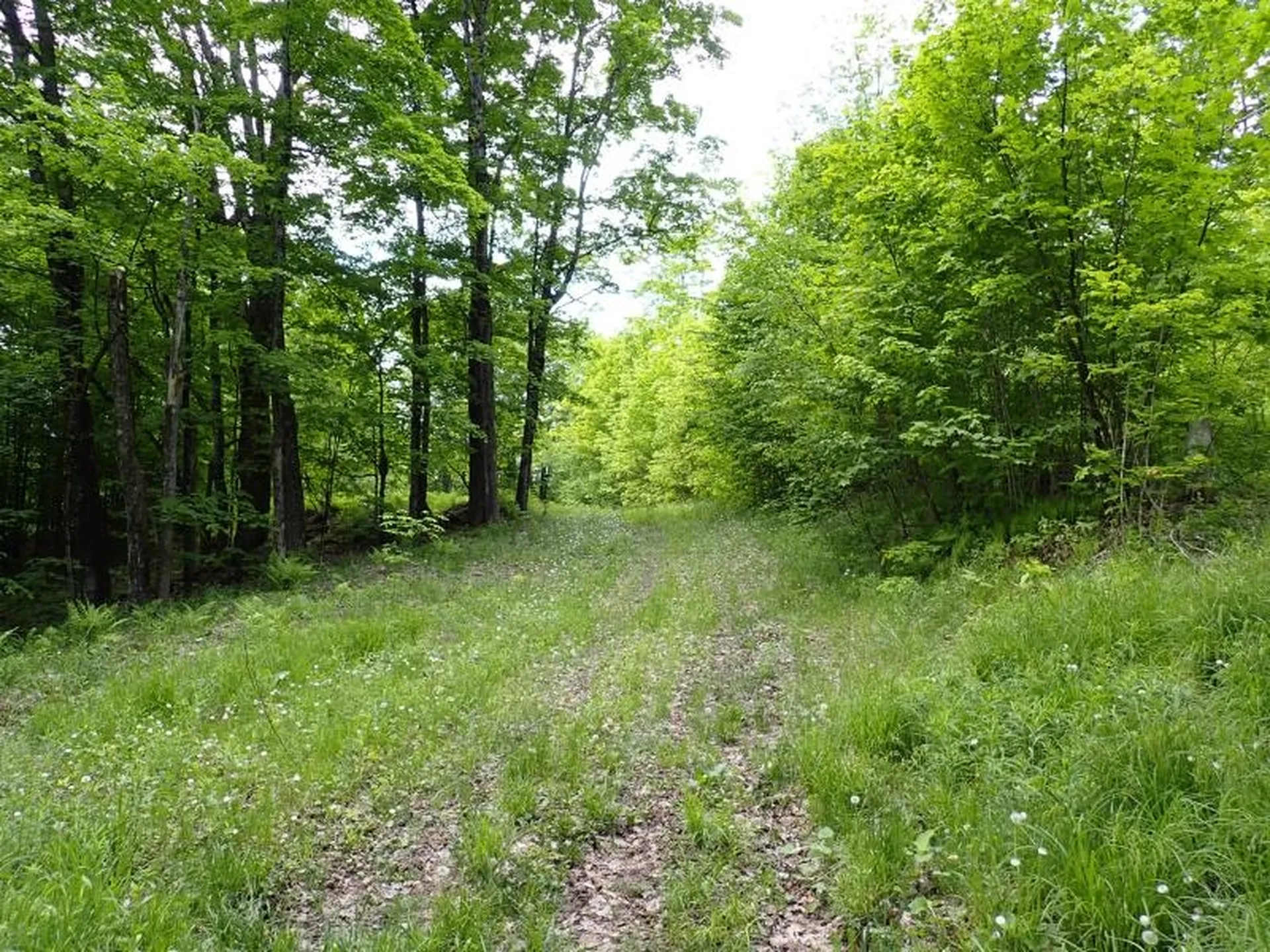 0 Powder Spring Road Topsham VT 05076