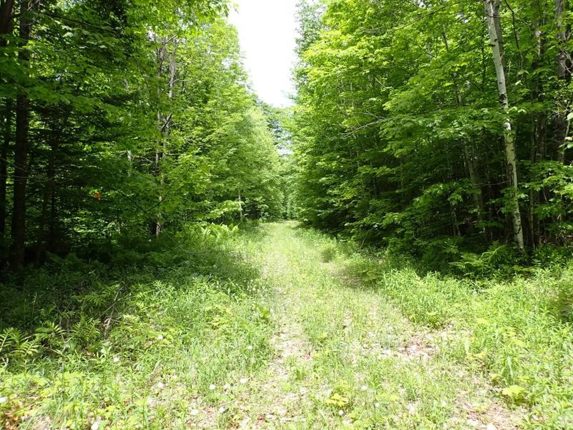 0 Powder Spring Road Topsham VT 05076