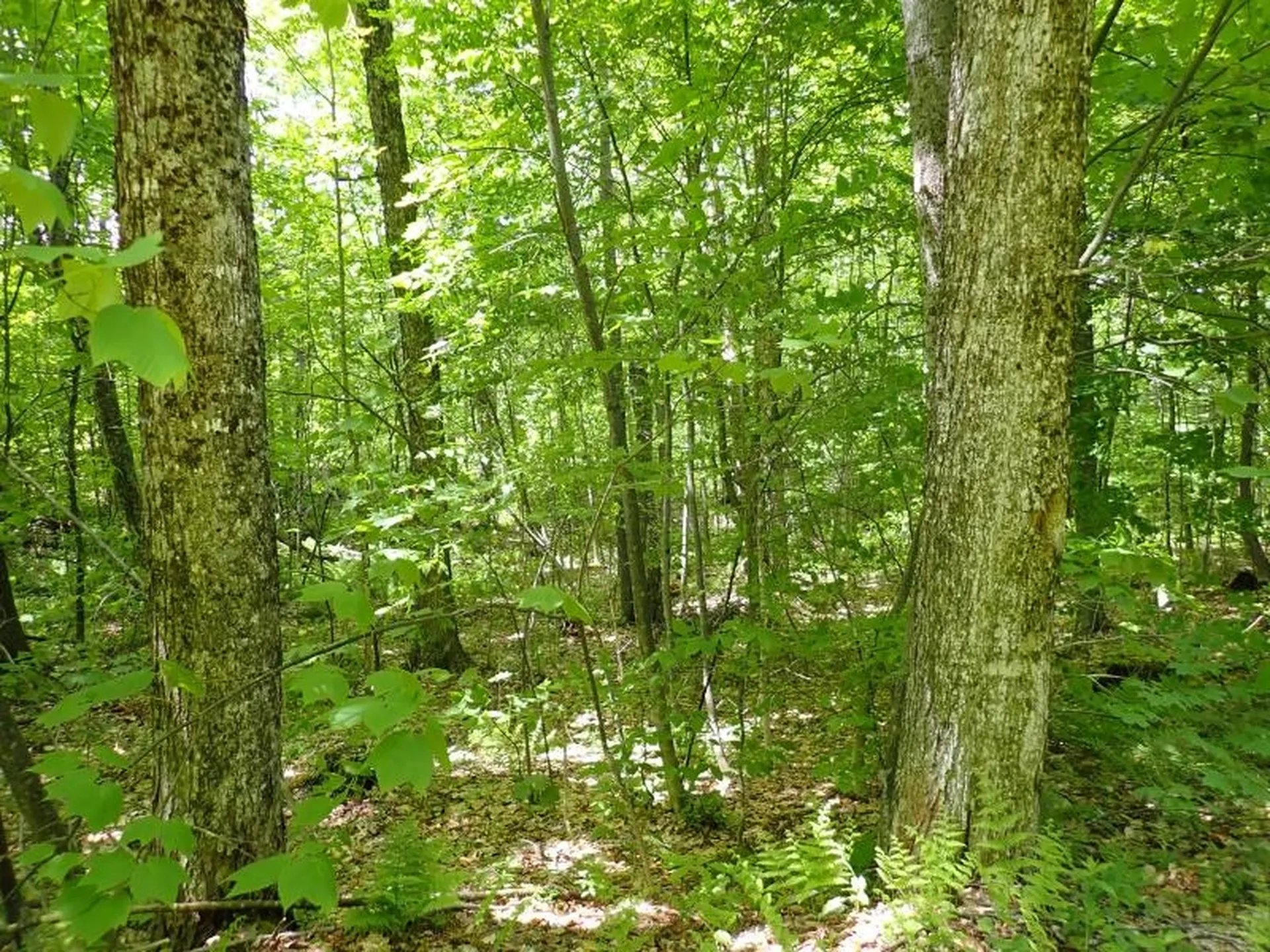 0 Powder Spring Road Topsham VT 05076