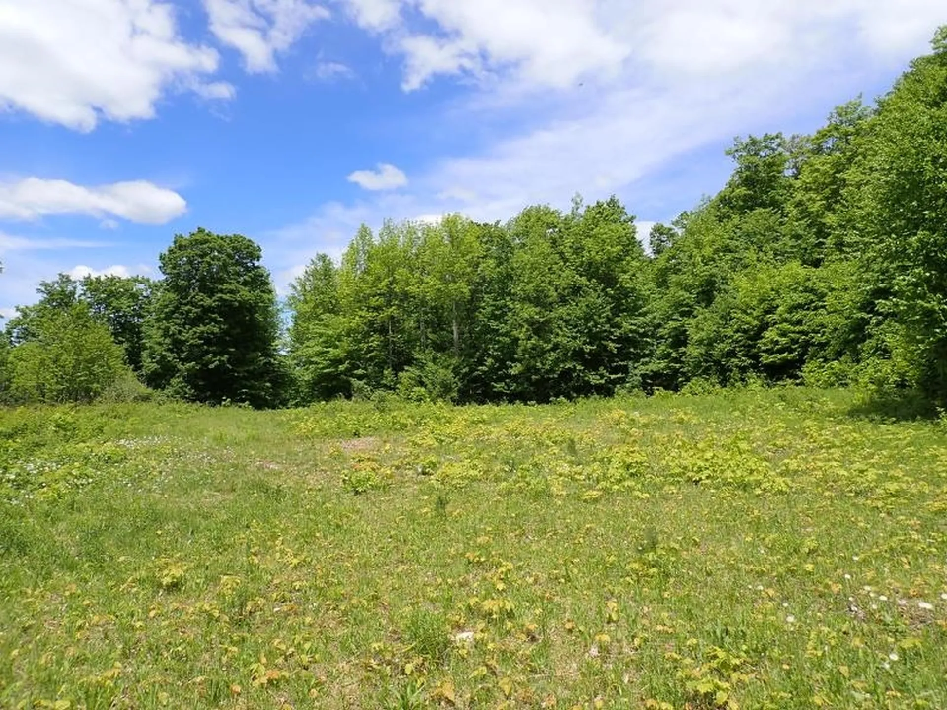 0 Powder Spring Road Topsham VT 05076