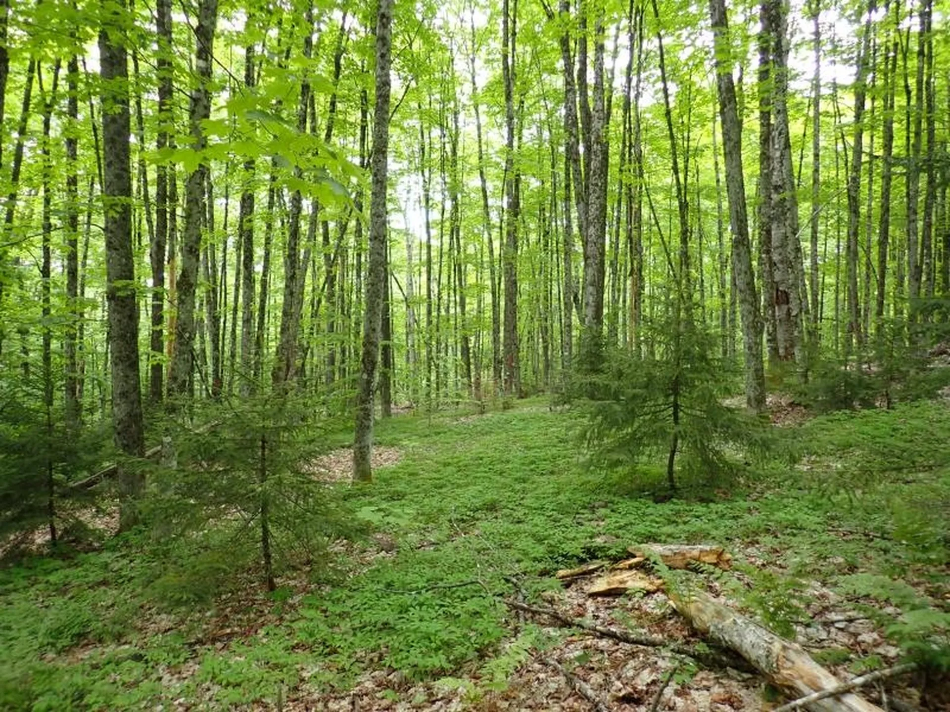 0 Powder Spring Road Topsham VT 05076