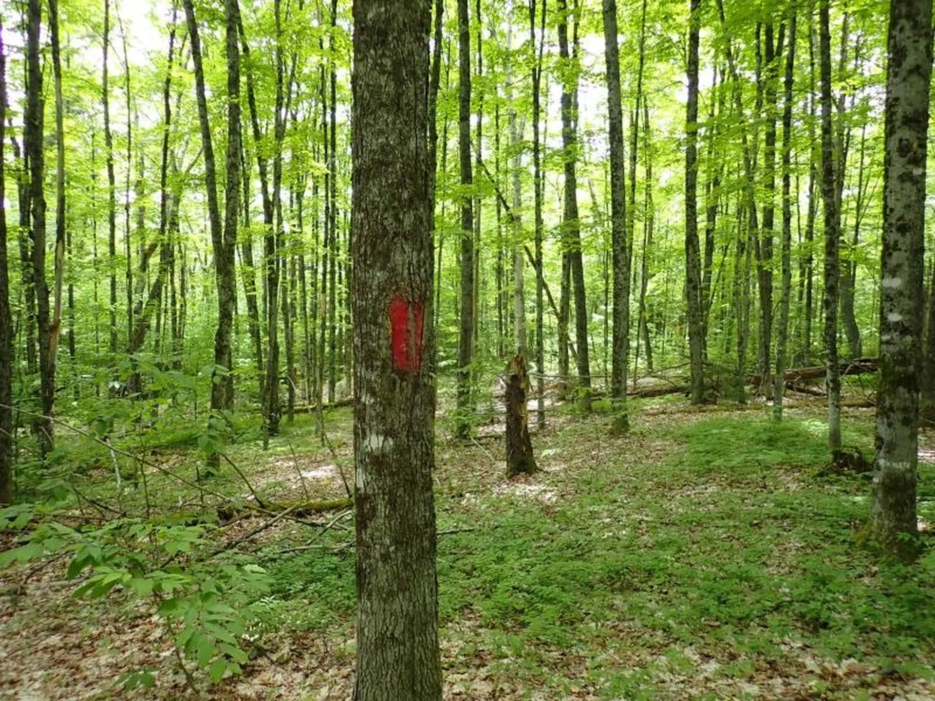 0 Powder Spring Road Topsham VT 05076