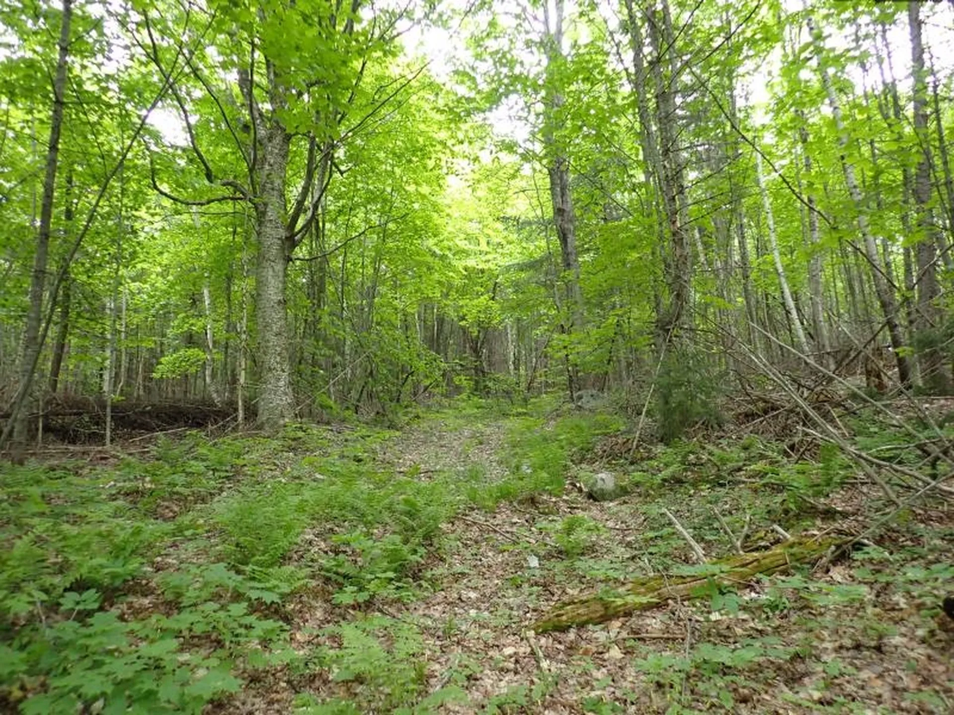 0 Powder Spring Road Topsham VT 05076