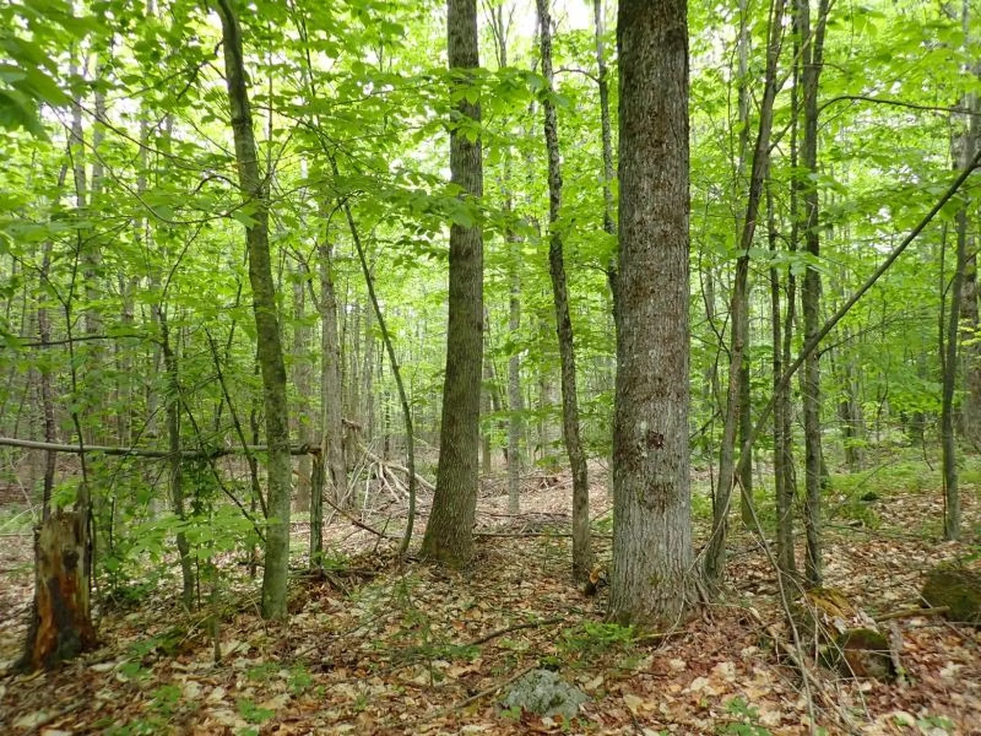 0 Powder Spring Road Topsham VT 05076