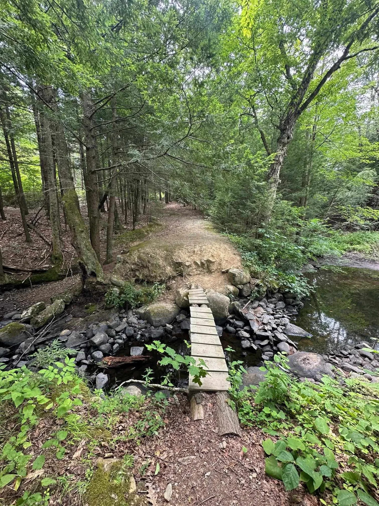 0 Stowe Road Chester NH 03036