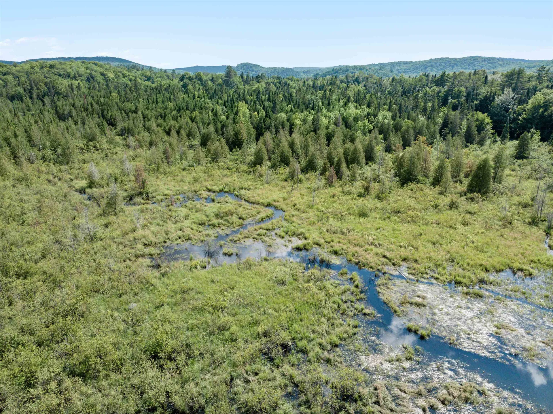 1563 Nichols Pond Road Woodbury VT 05648