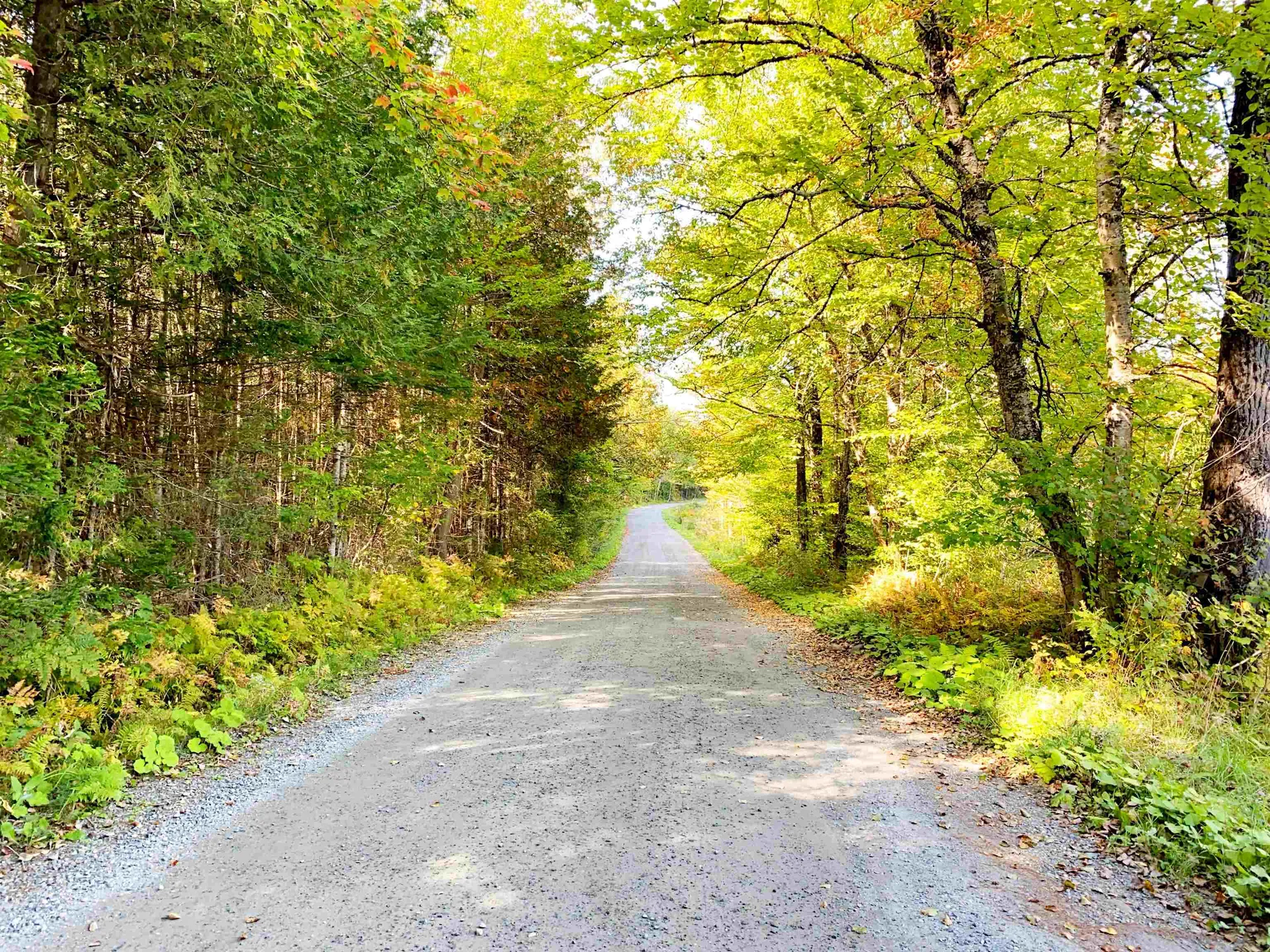 1563 Nichols Pond Road Woodbury VT 05648