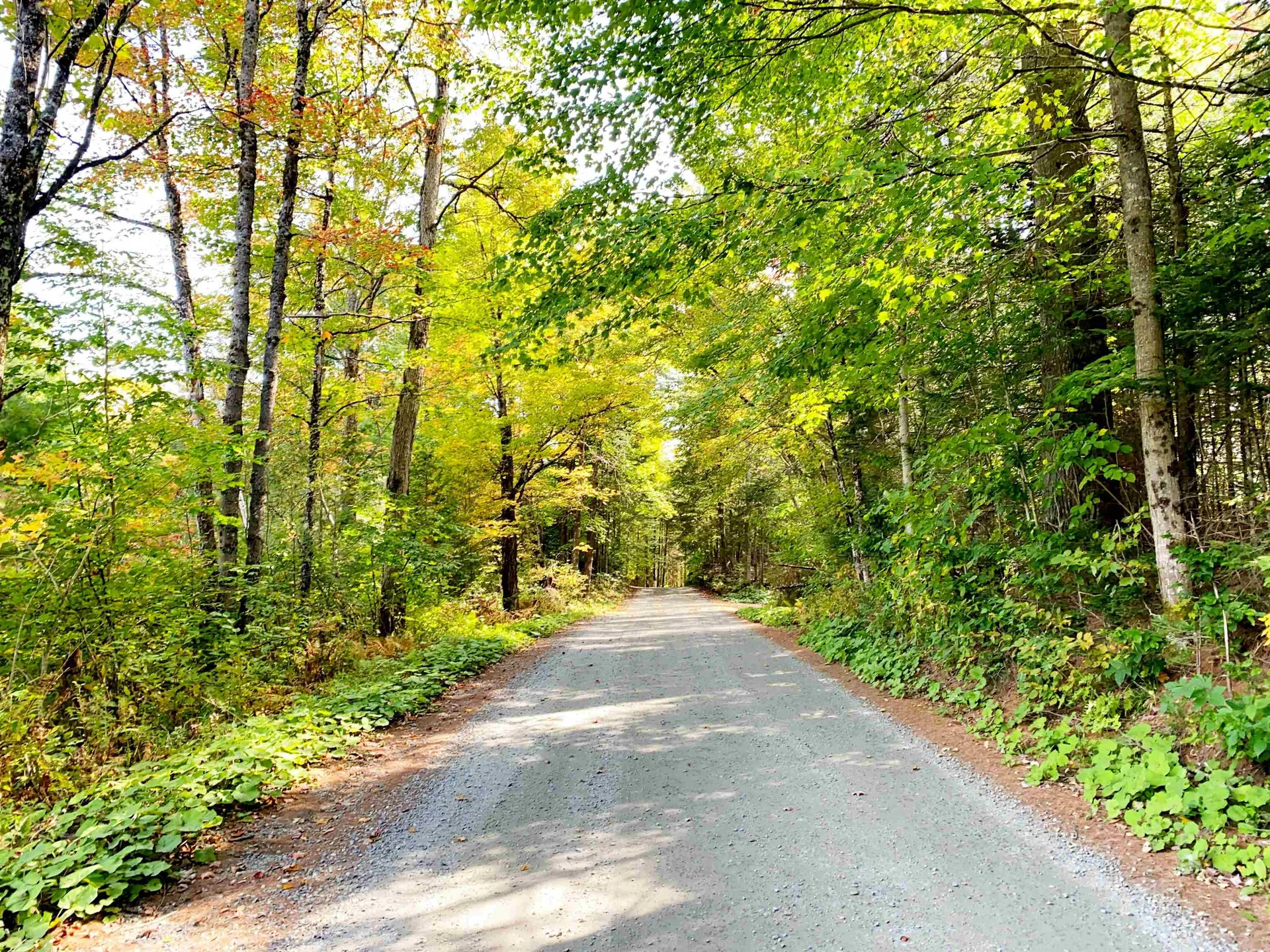 1563 Nichols Pond Road Woodbury VT 05648