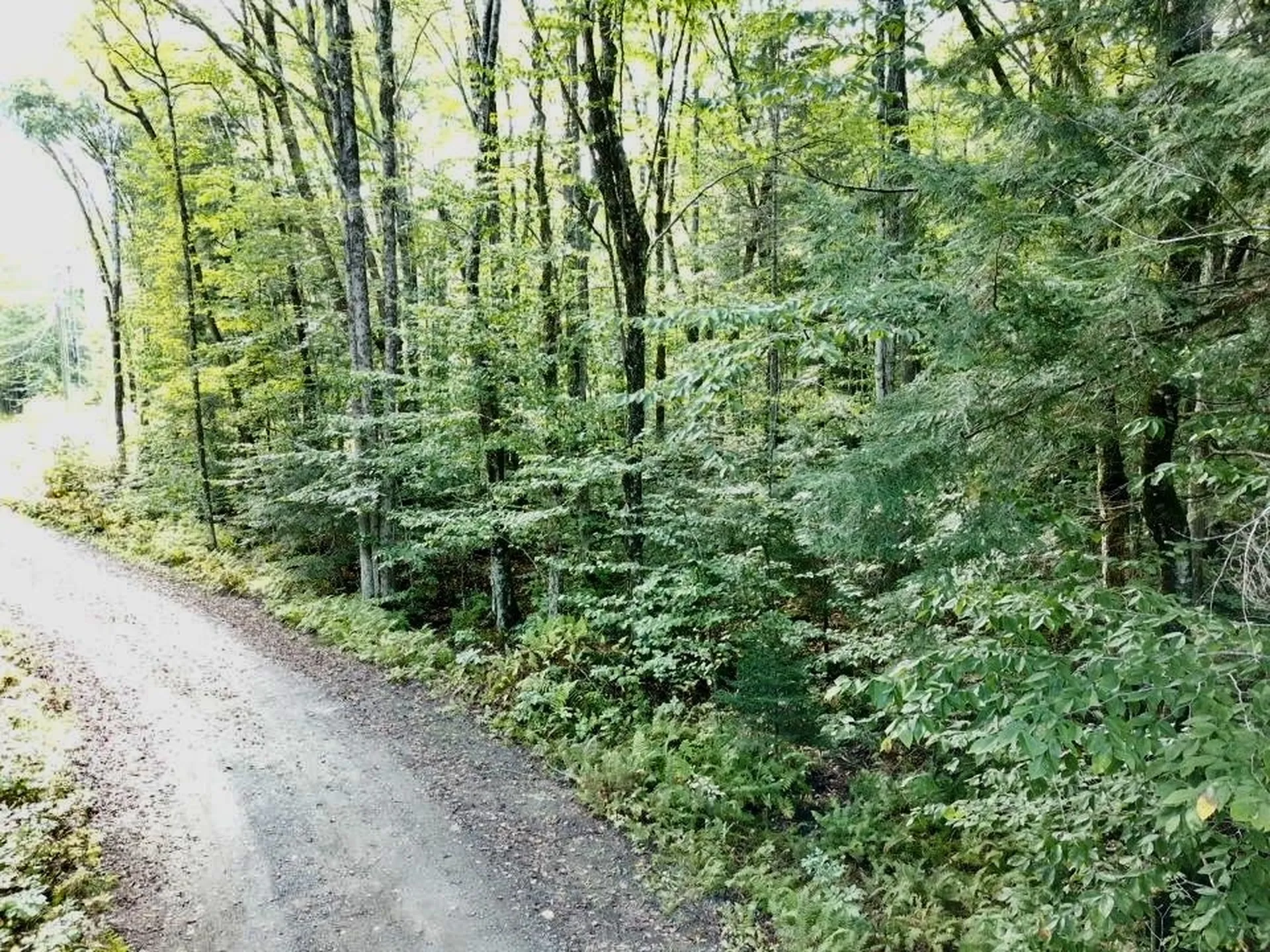 8 Cove Road Canaan NH 03741