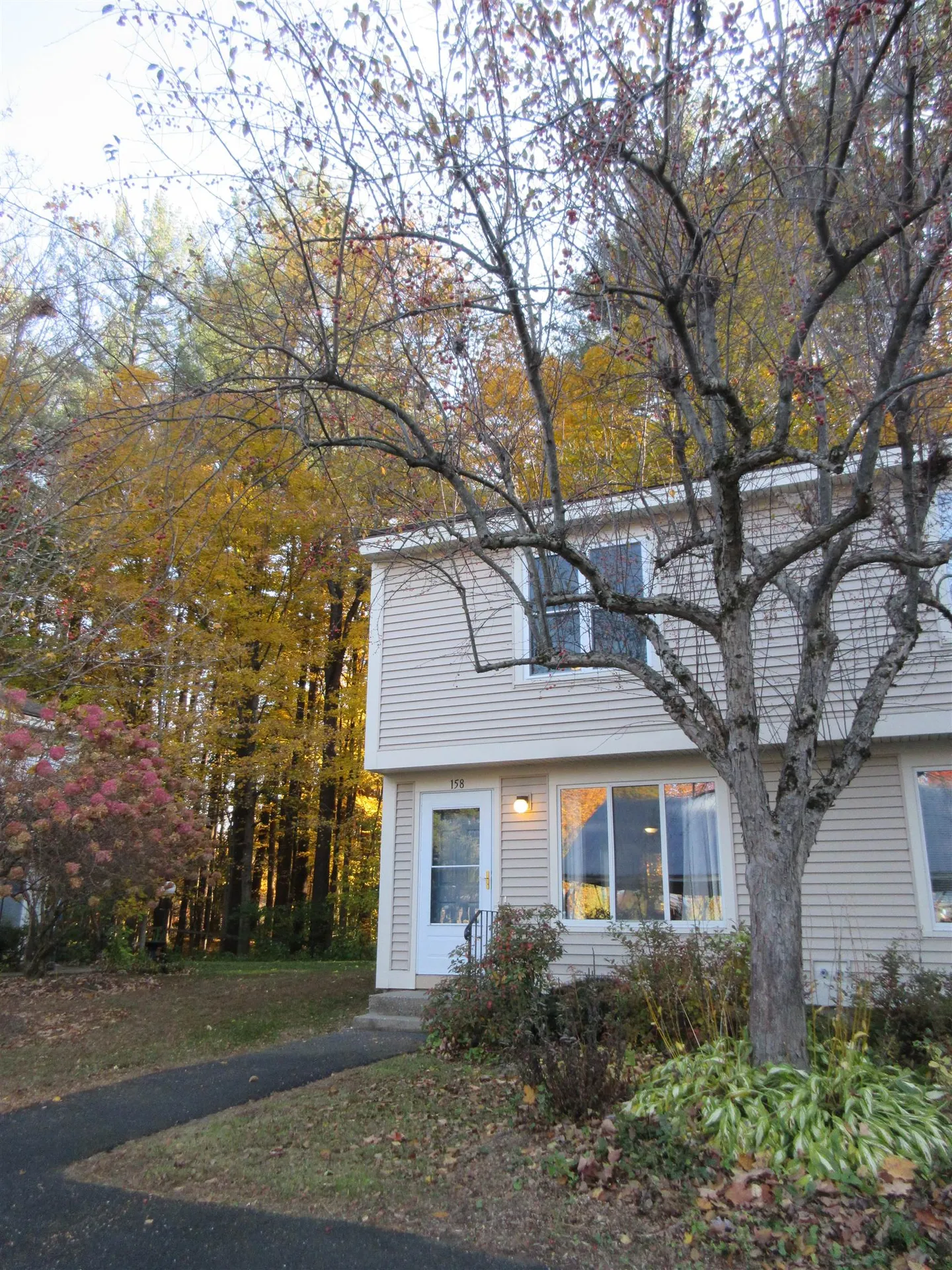 158 Morningside Commons Brattleboro VT 05301