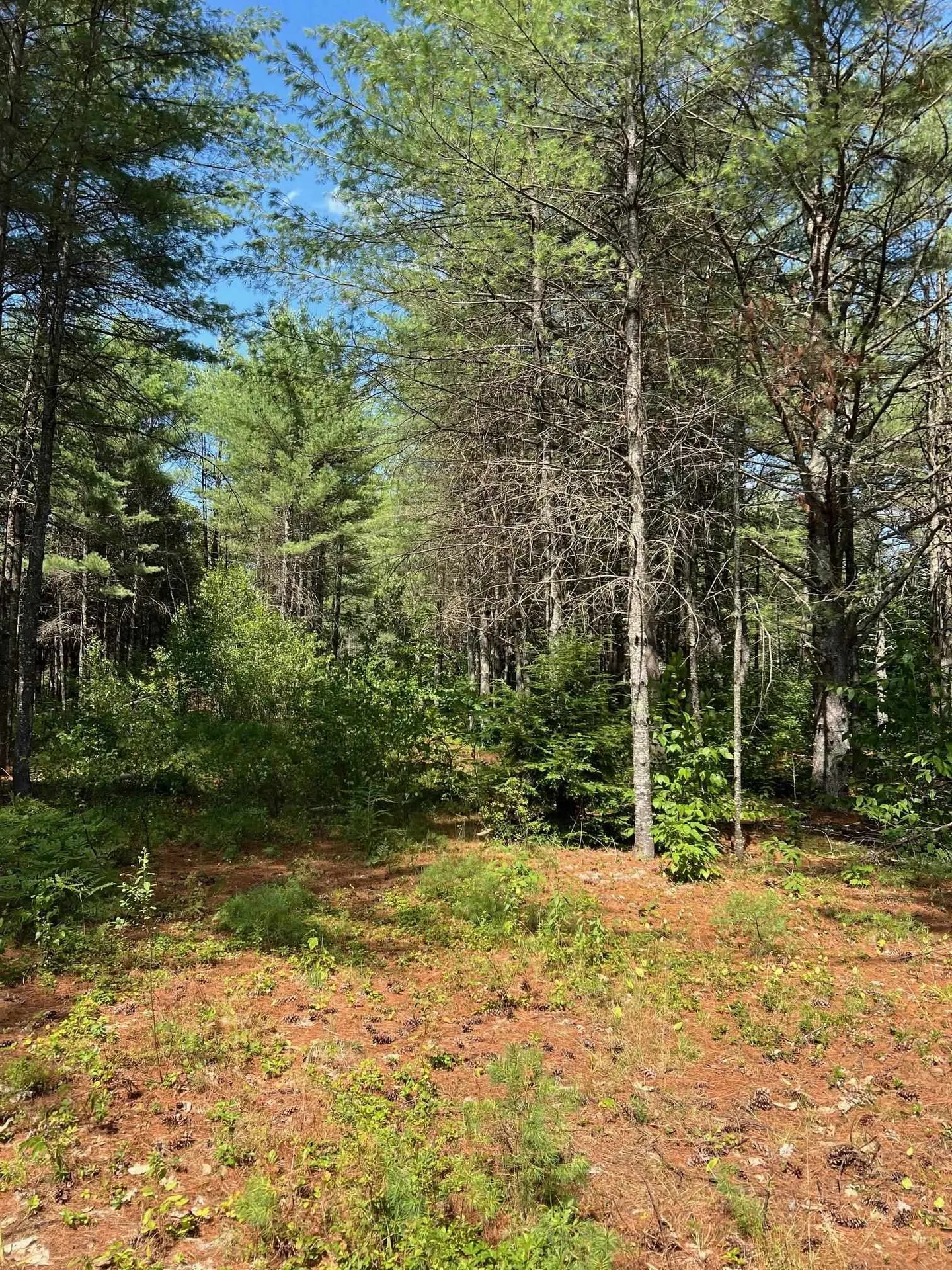 185 Dorrs Corner Road Ossipee NH 03814