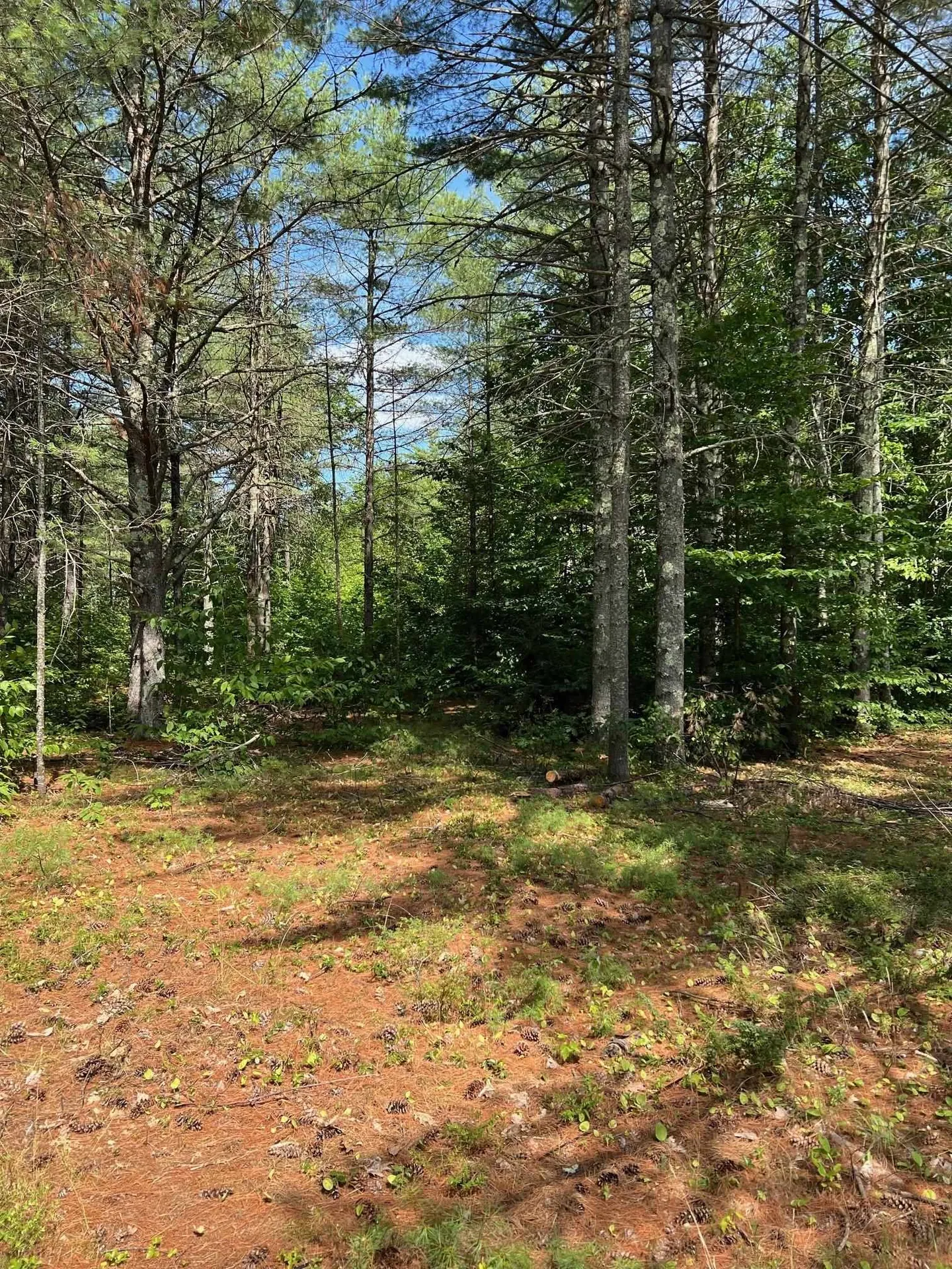 185 Dorrs Corner Road Ossipee NH 03814