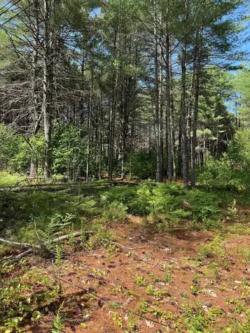 185 Dorrs Corner Road Ossipee NH 03814