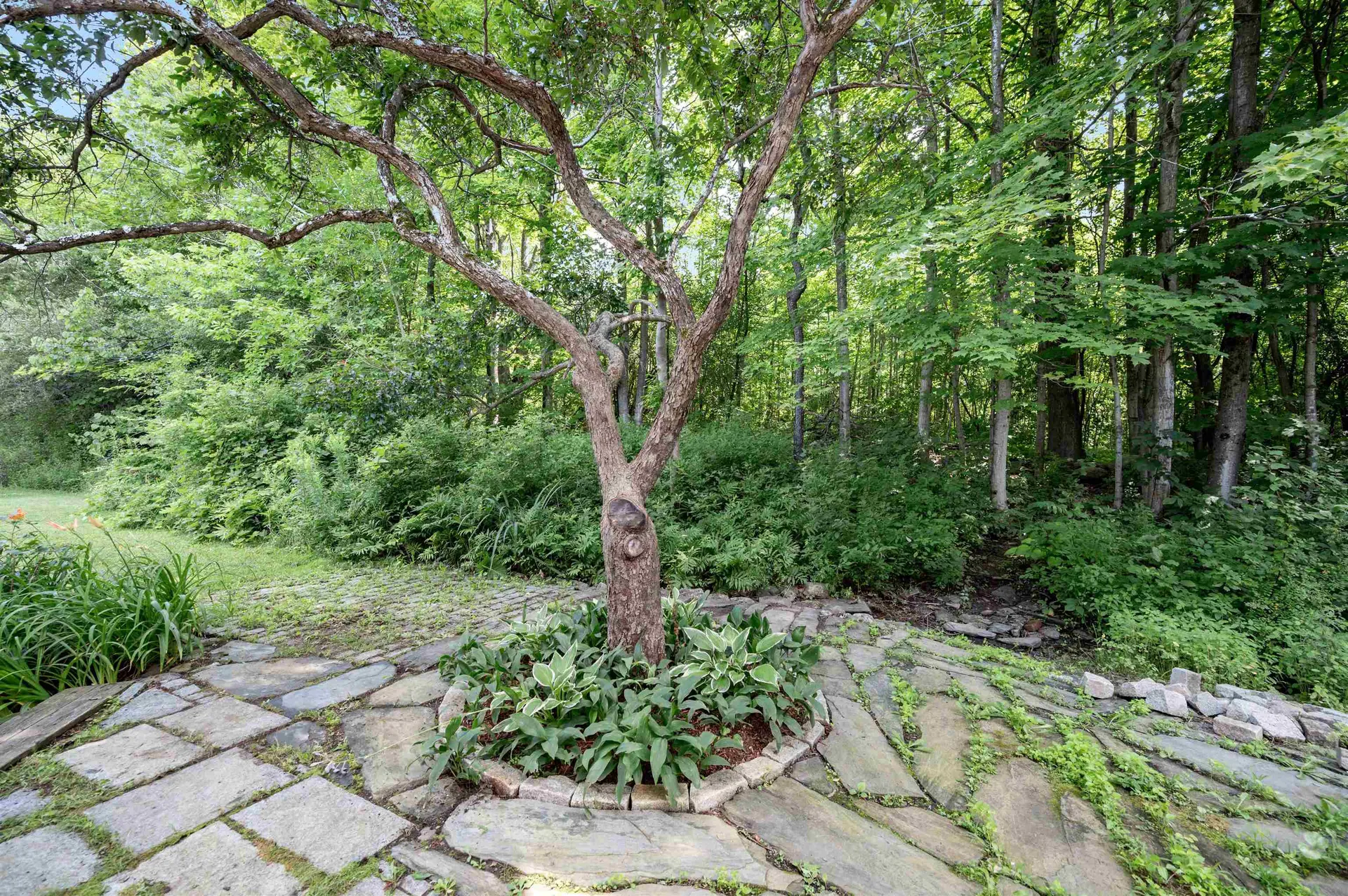 128 Orchard Commons Road Hinesburg VT 05461