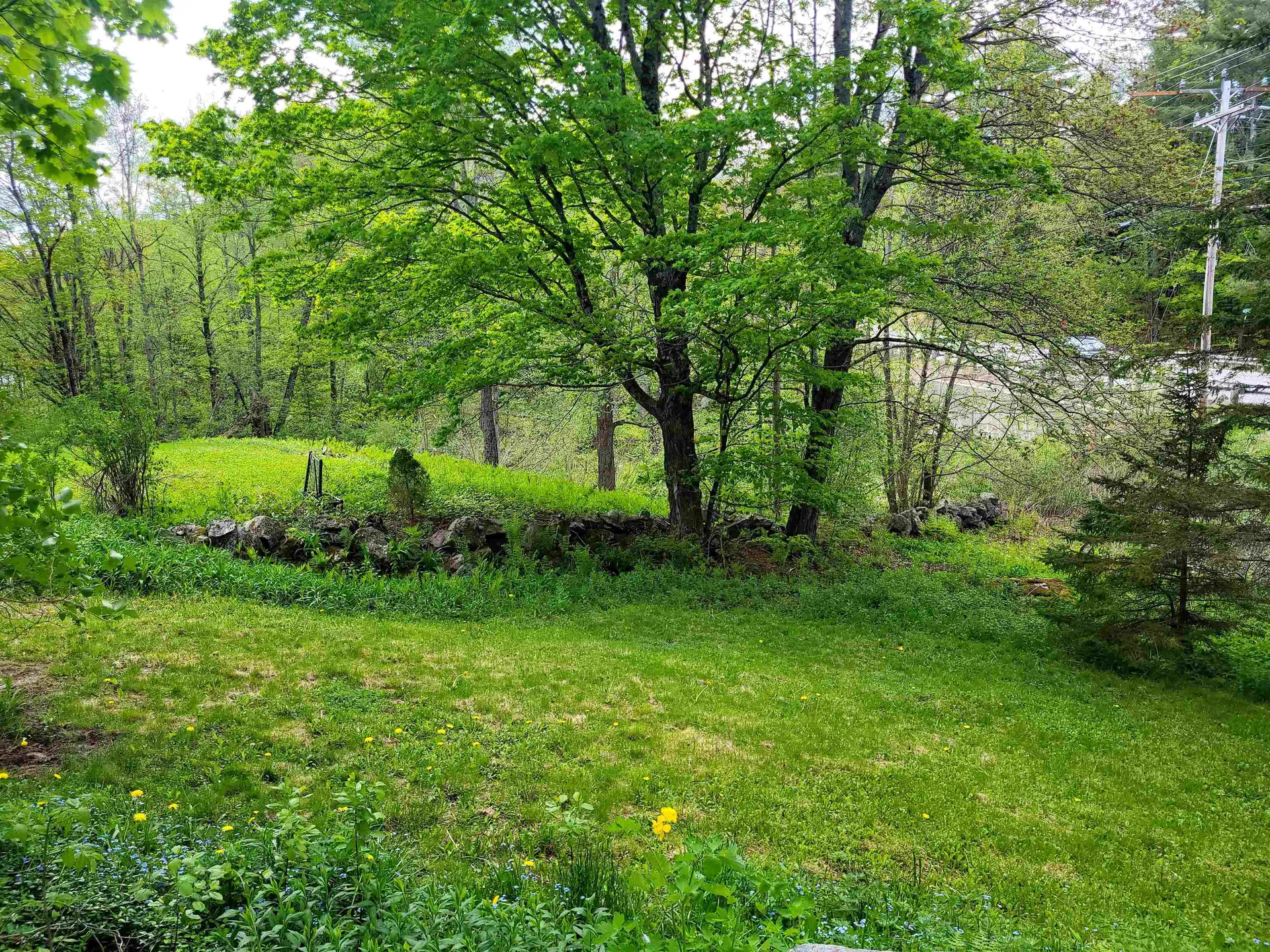 10 Ragged Mountain Road Danbury NH 03230