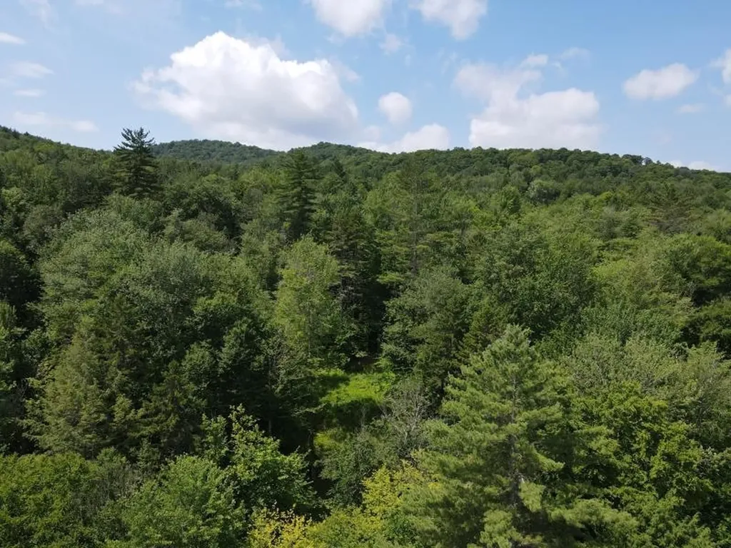 0 Davis Road Bethel VT 05032