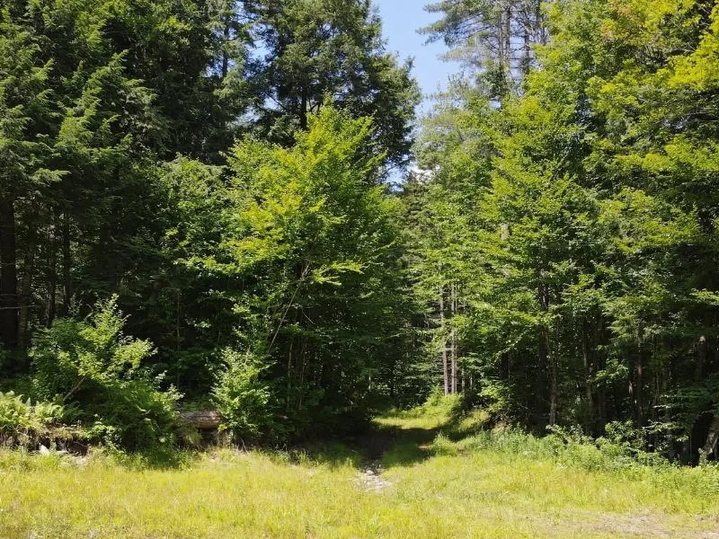 0 Davis Road Bethel VT 05032