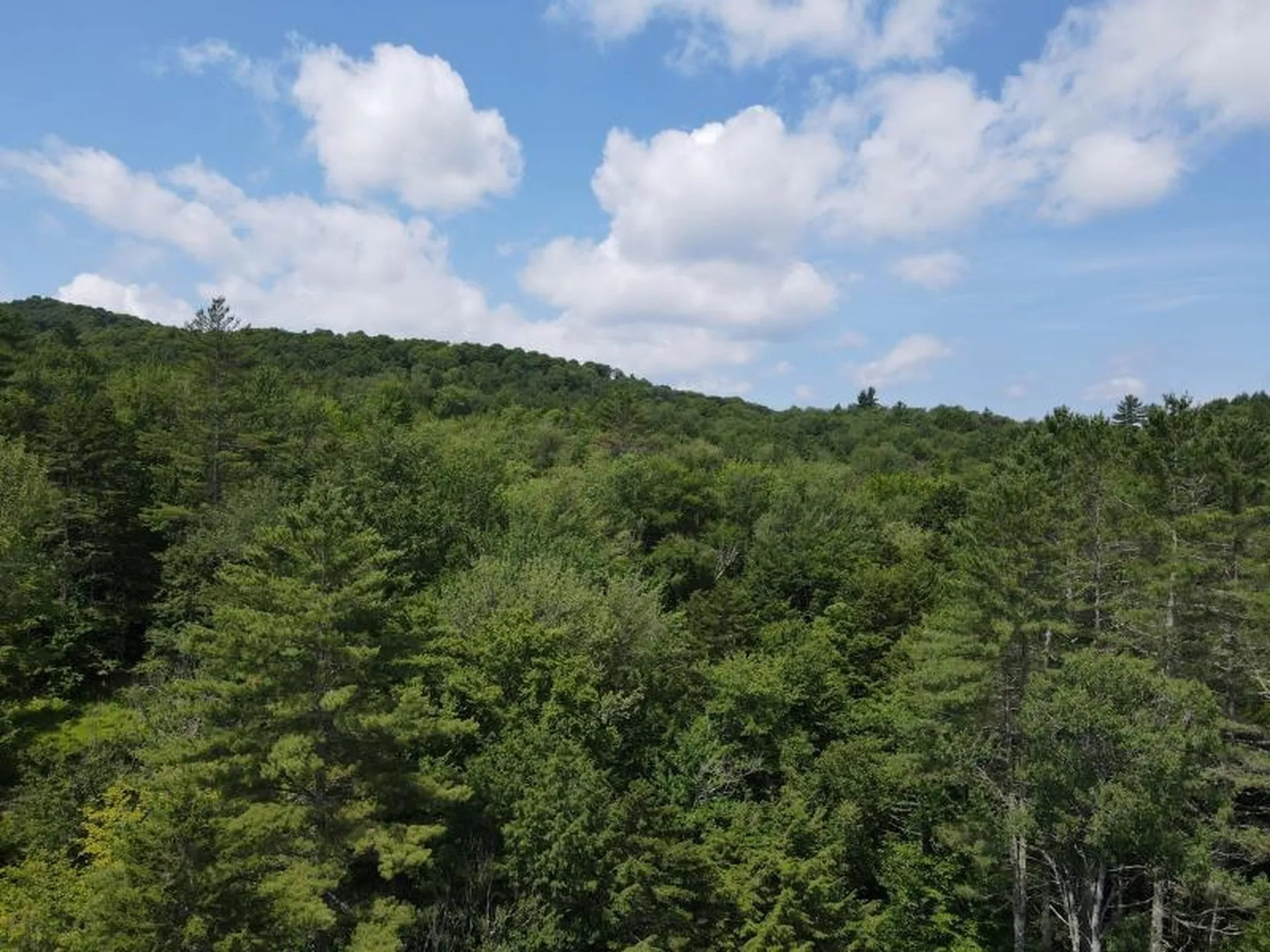 0 Davis Road Bethel VT 05032