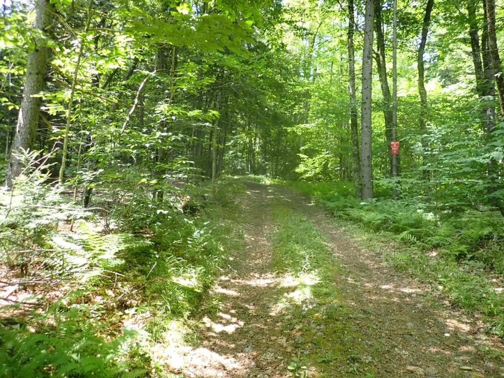 0 Davis Road Bethel VT 05032