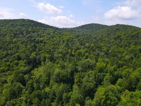 0 Davis Road Bethel VT 05032