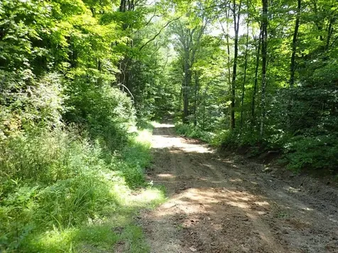 0 Davis Road Bethel VT 05032