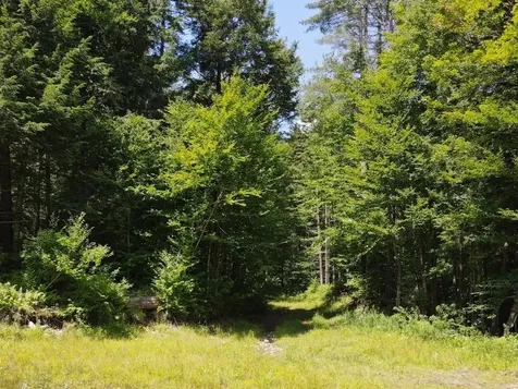 0 Davis Road Bethel VT 05032