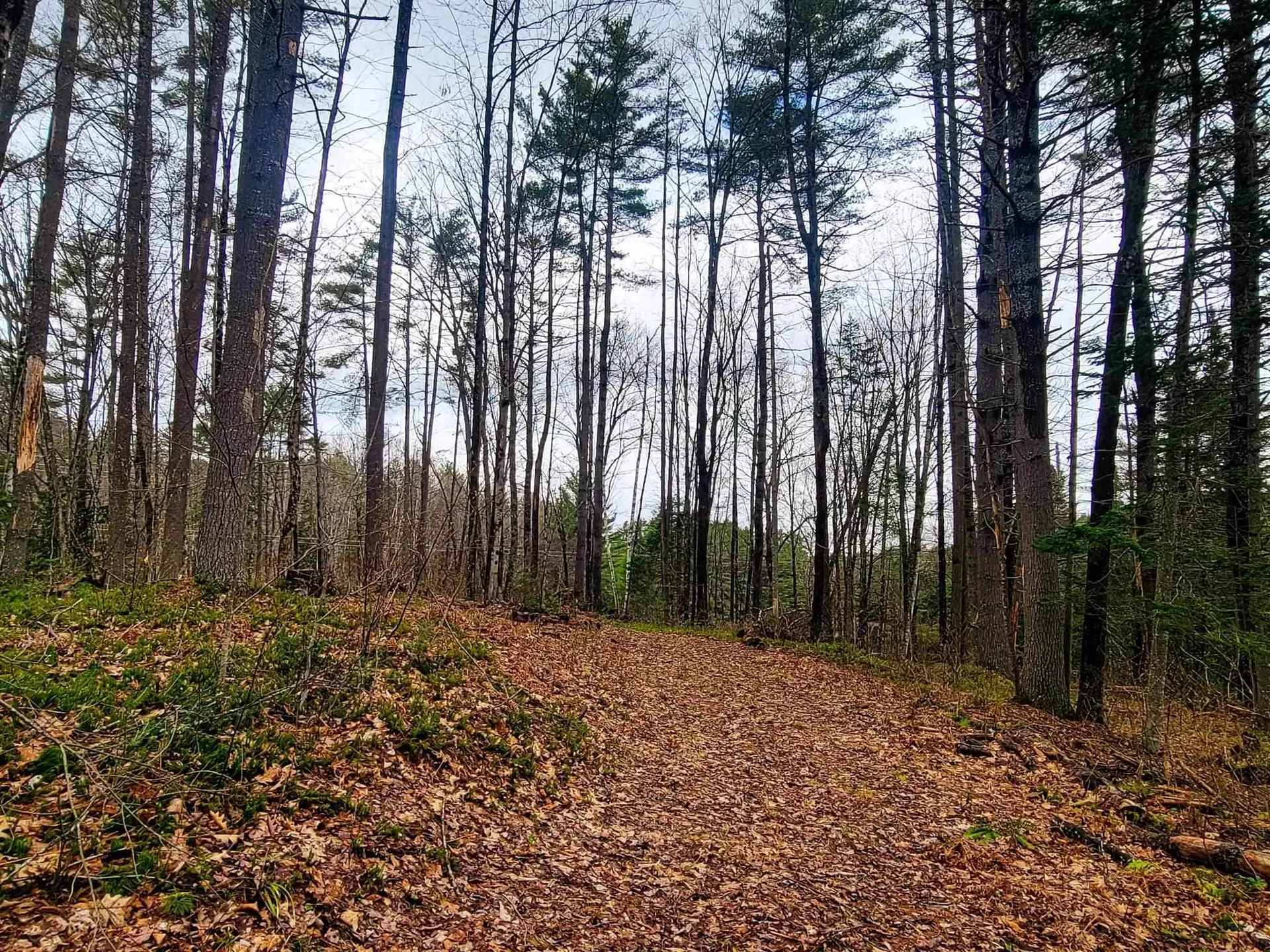 2775 Symes Pond Road Ryegate VT 05402