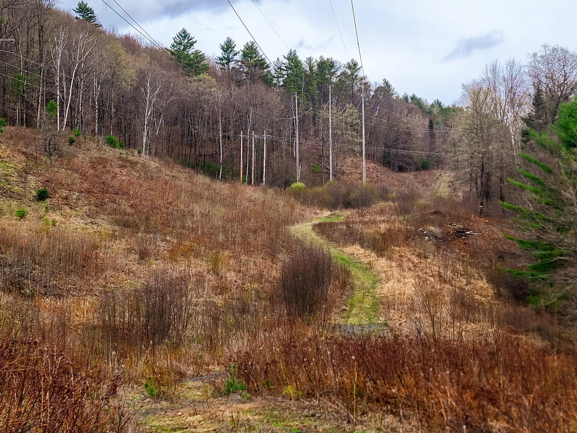 2775 Symes Pond Road Ryegate VT 05402