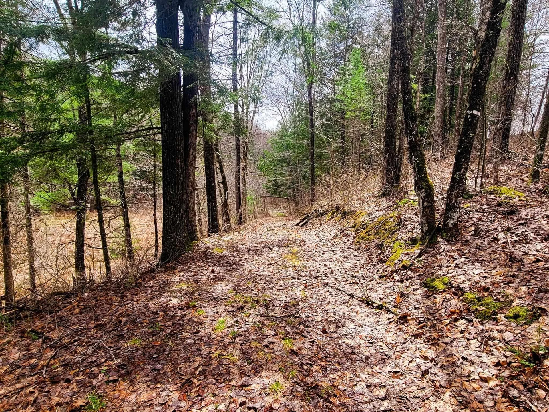 2775 Symes Pond Road Ryegate VT 05402