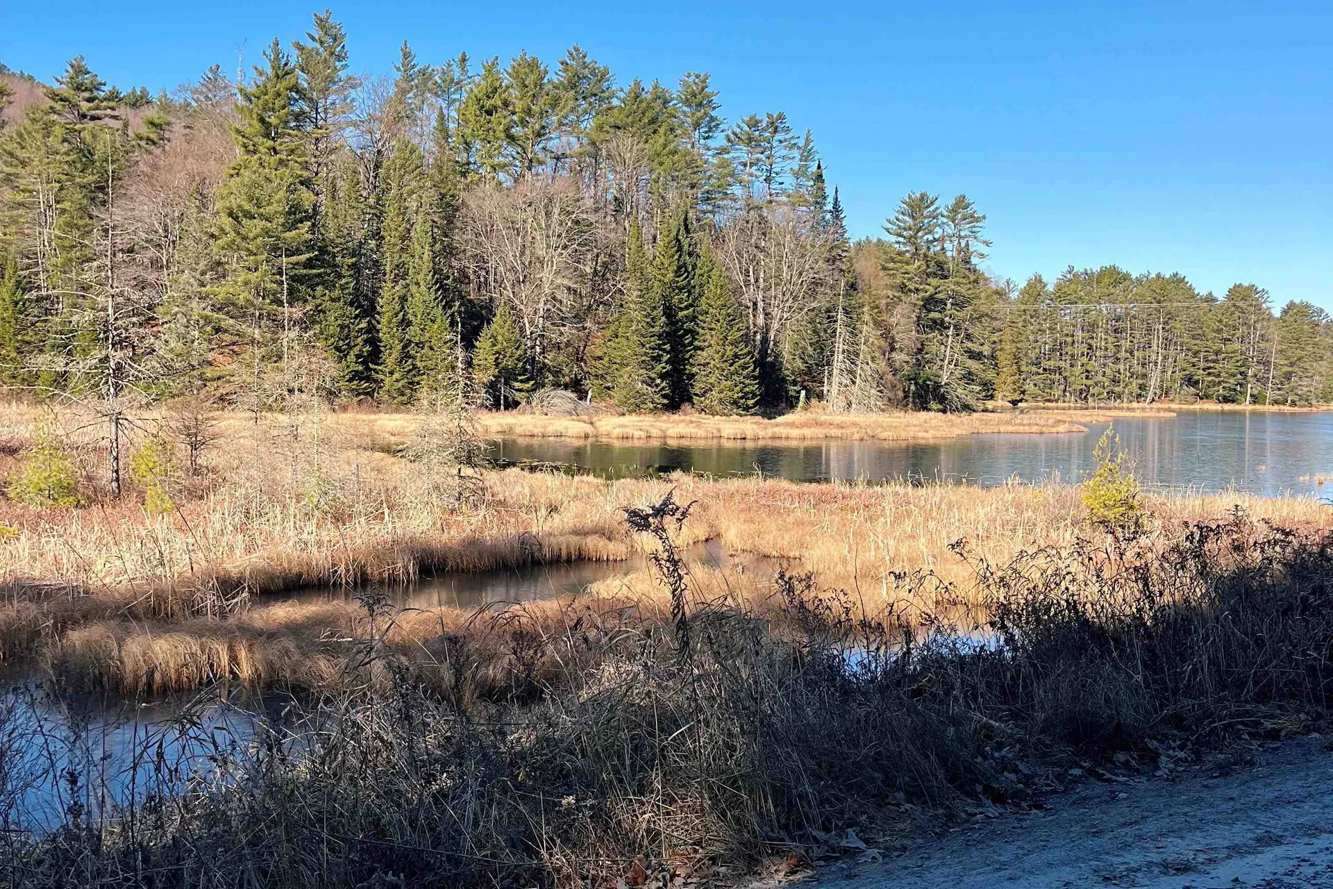 2775 Symes Pond Road Ryegate VT 05402