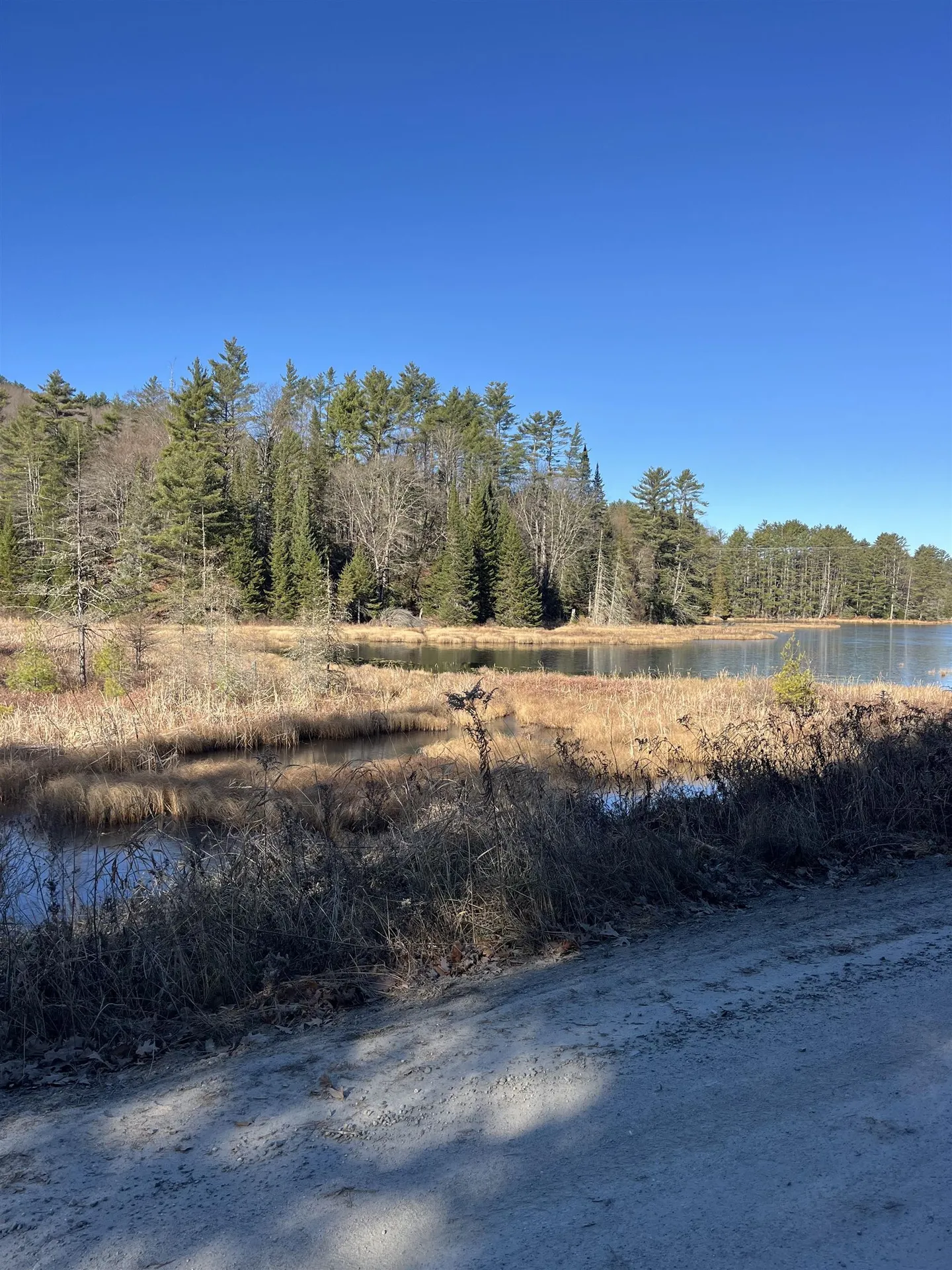 2775 Symes Pond Road Ryegate VT 05402