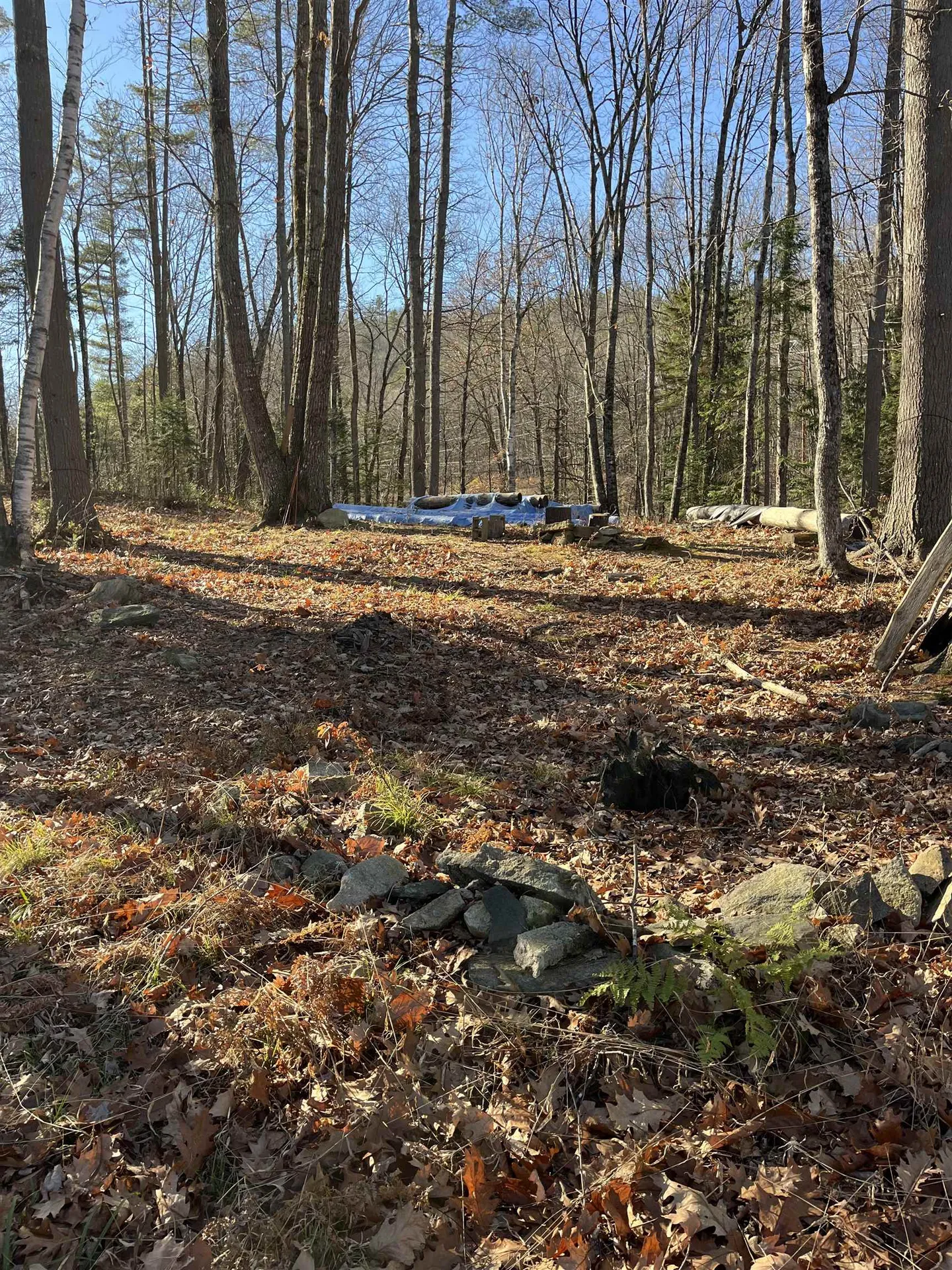 2775 Symes Pond Road Ryegate VT 05402