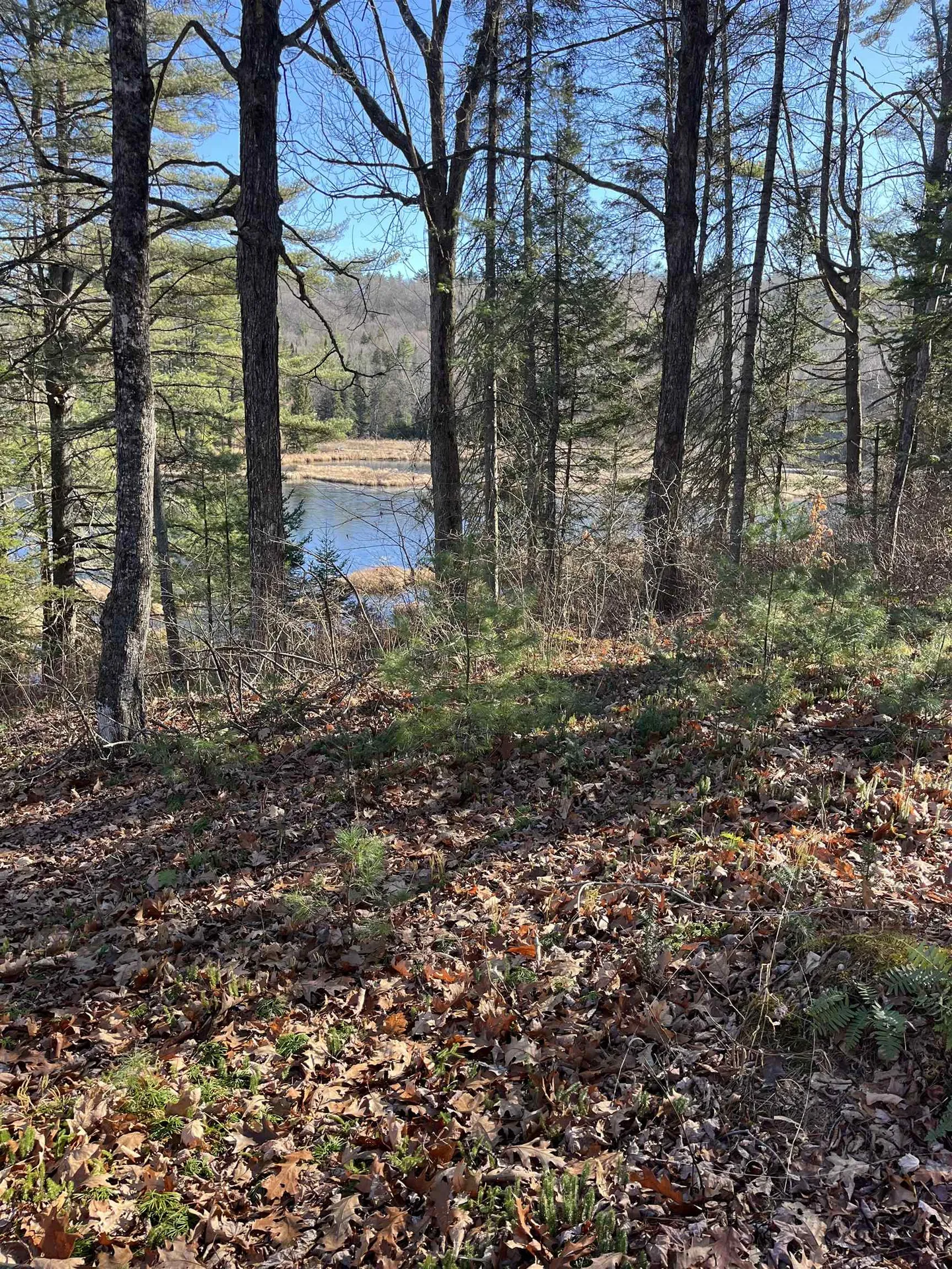 2775 Symes Pond Road Ryegate VT 05402