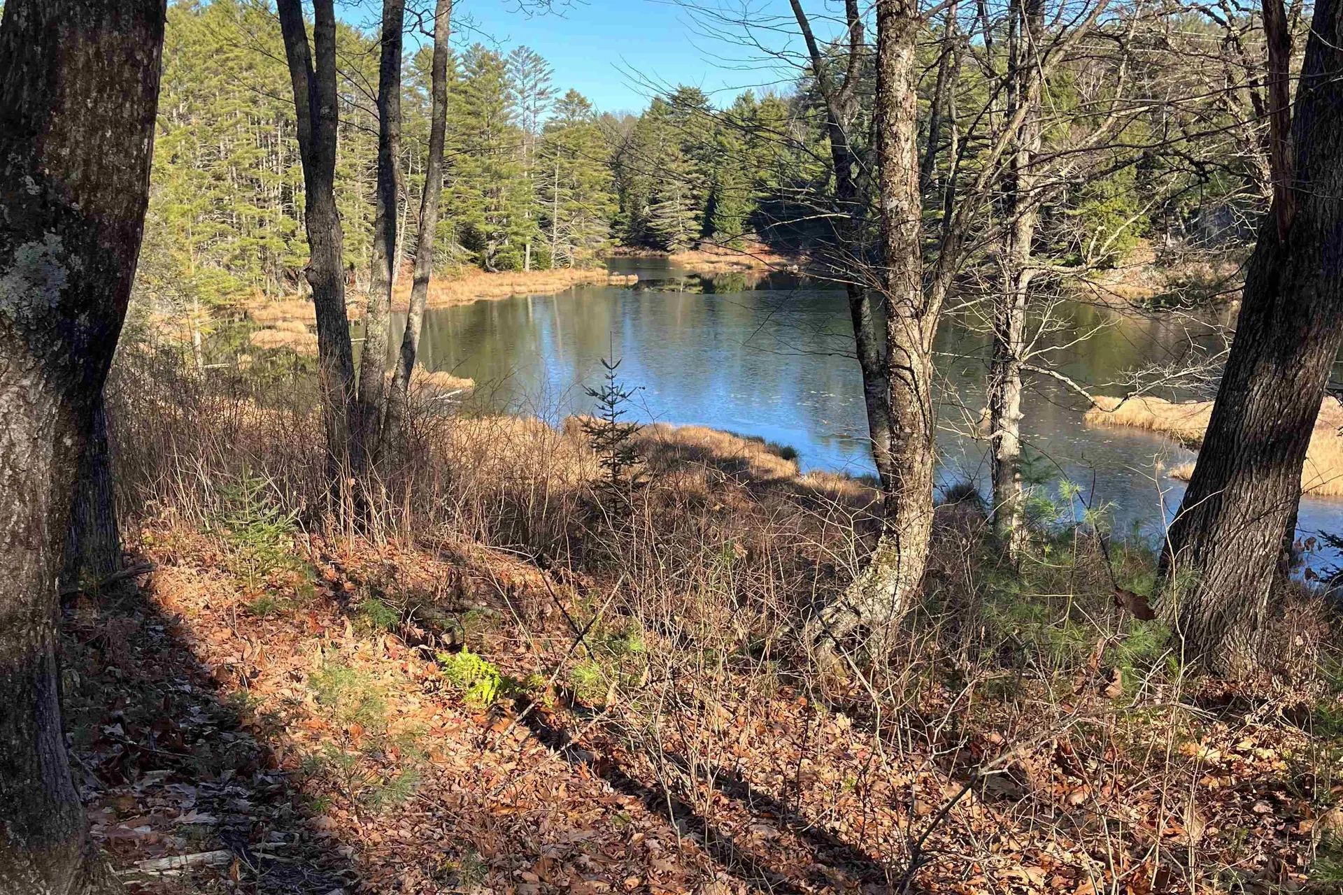 2775 Symes Pond Road Ryegate VT 05402