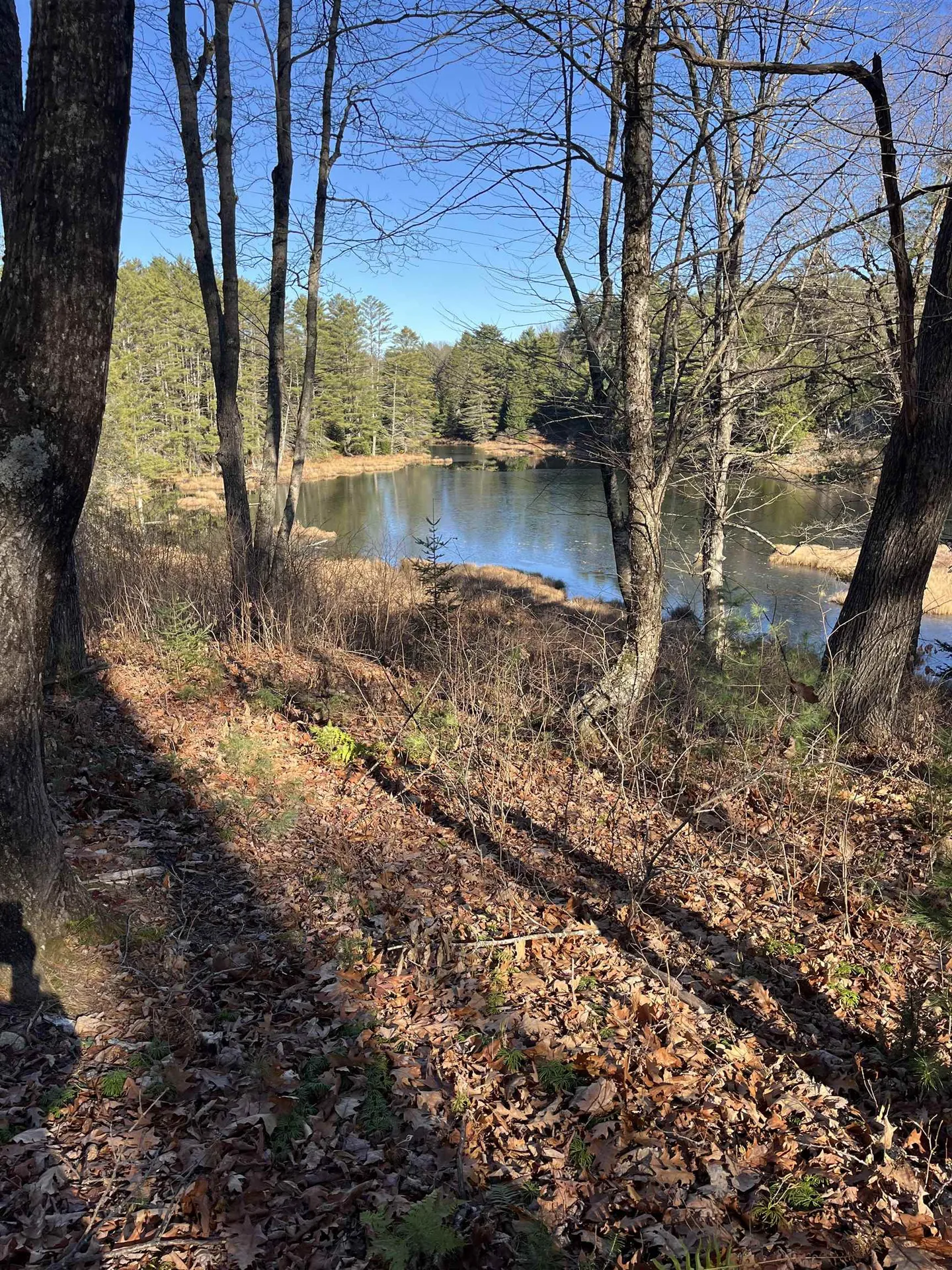 2775 Symes Pond Road Ryegate VT 05402