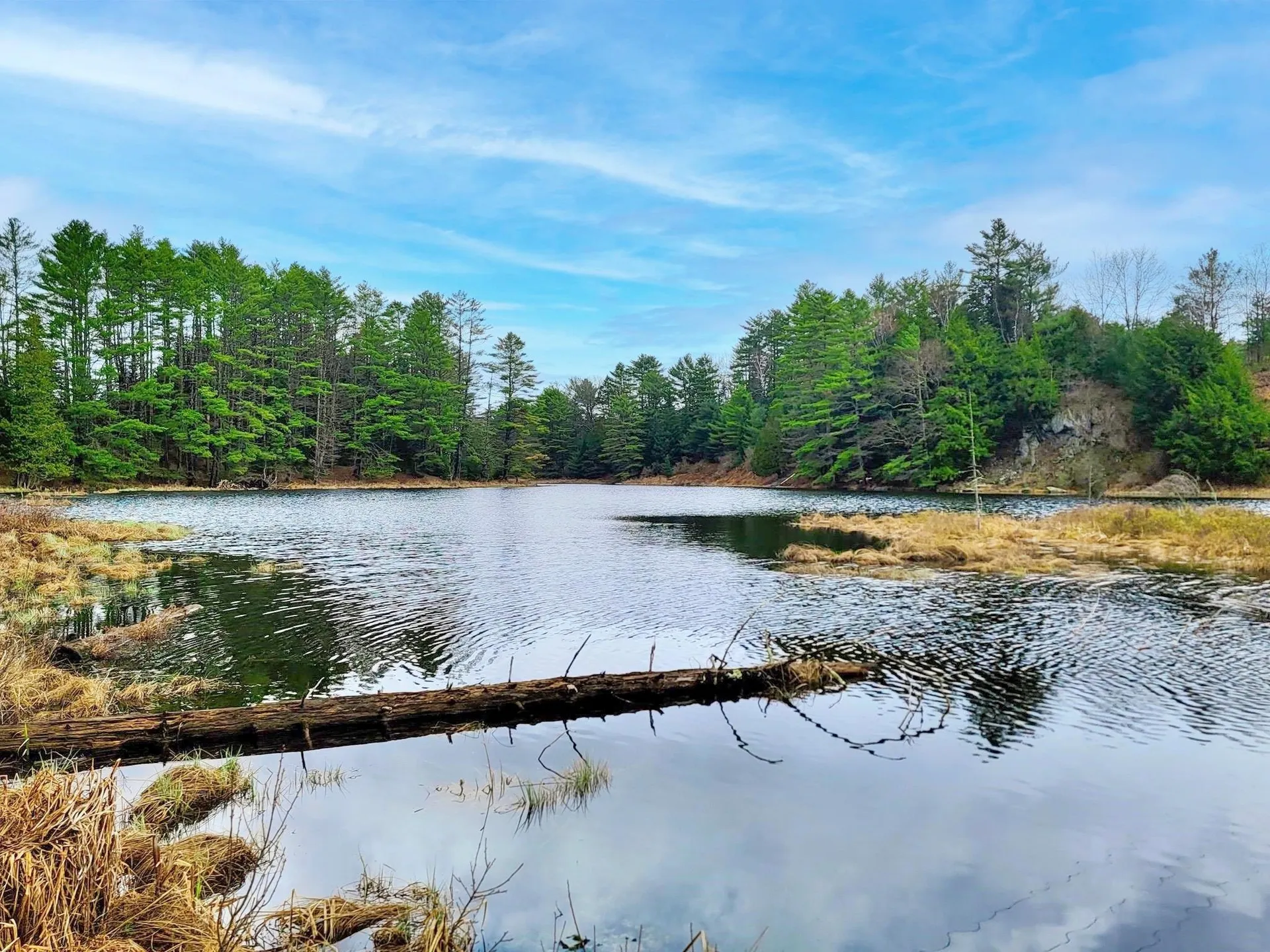 2775 Symes Pond Road Ryegate VT 05402