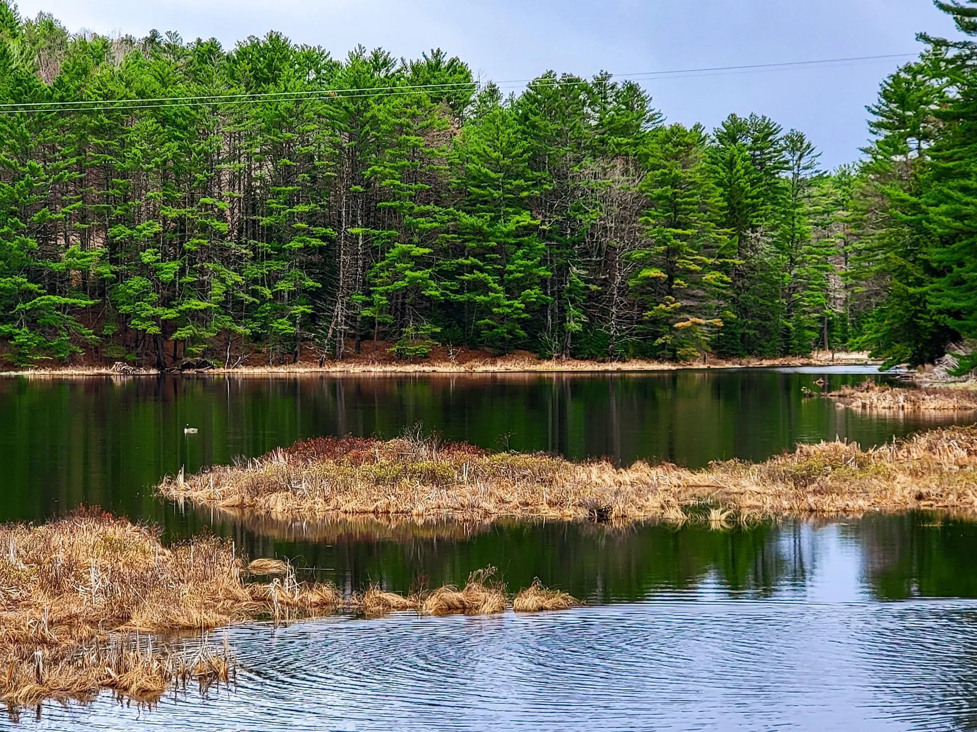 2775 Symes Pond Road Ryegate VT 05402