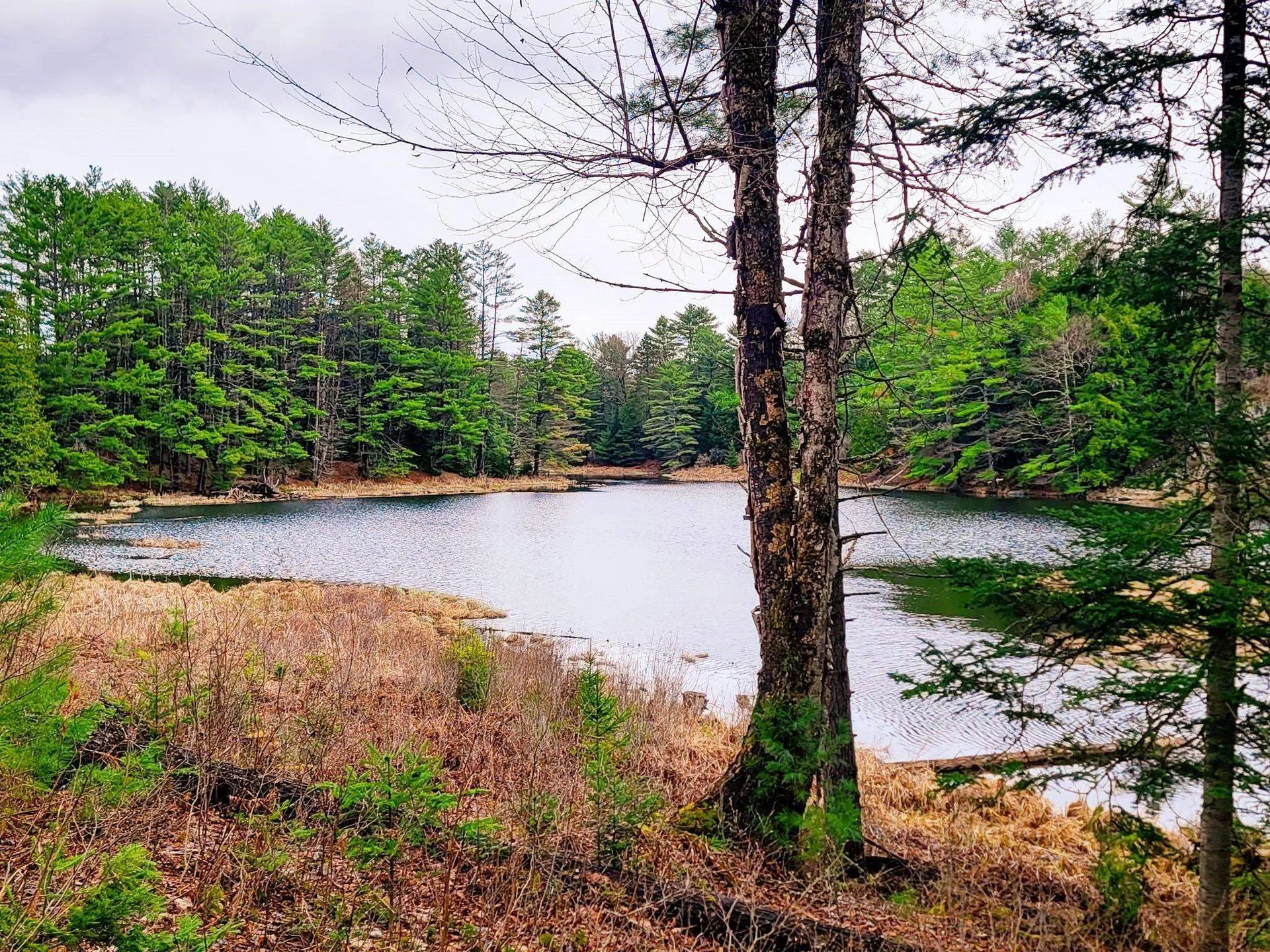 2775 Symes Pond Road Ryegate VT 05402