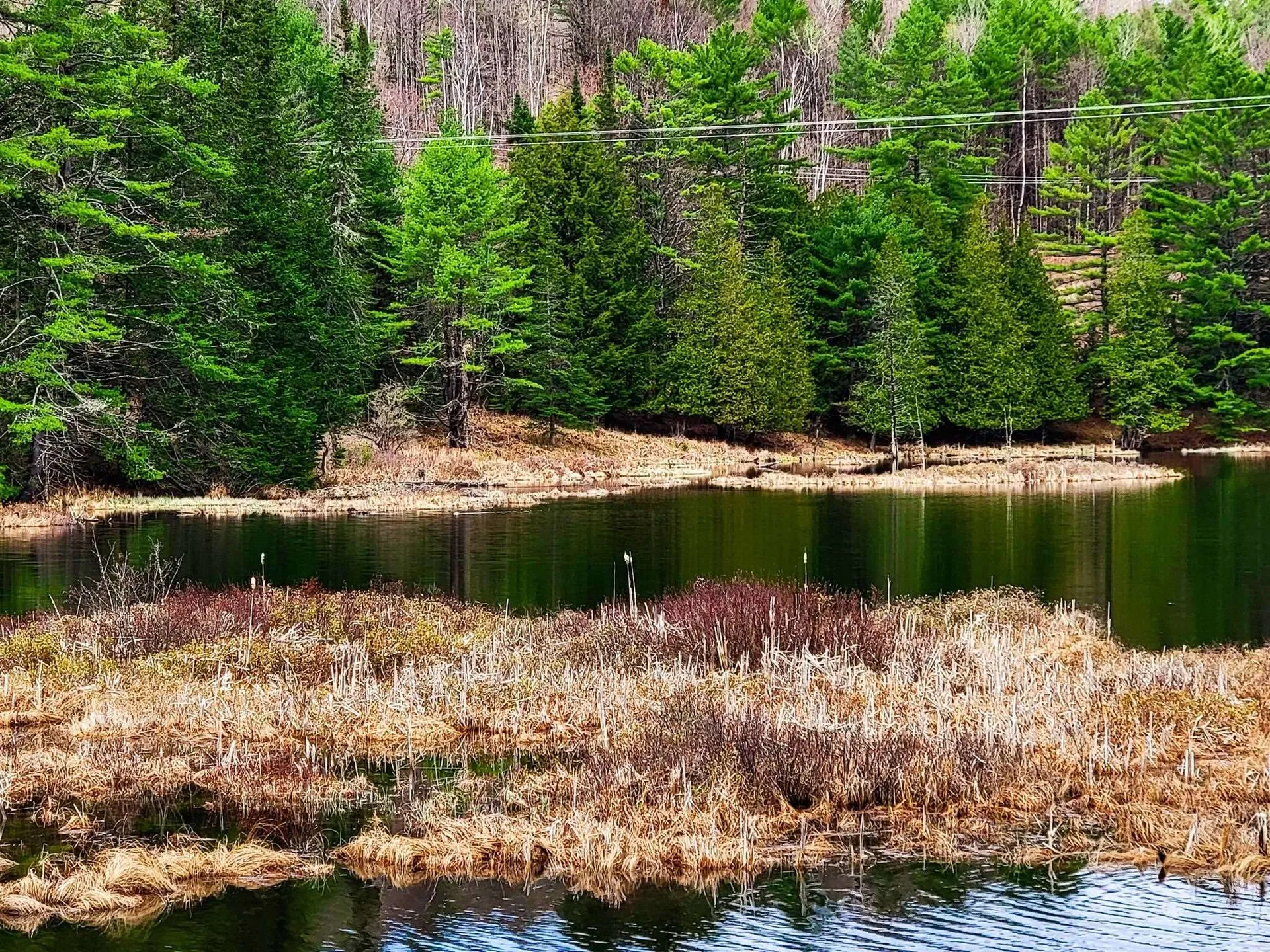 2775 Symes Pond Road Ryegate VT 05402