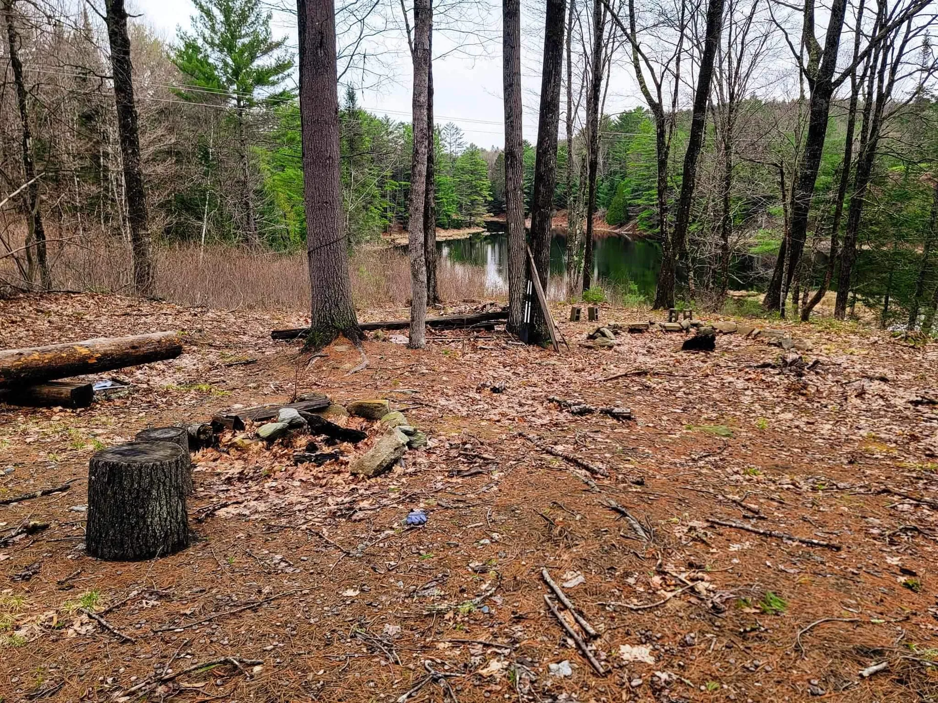 2775 Symes Pond Road Ryegate VT 05402